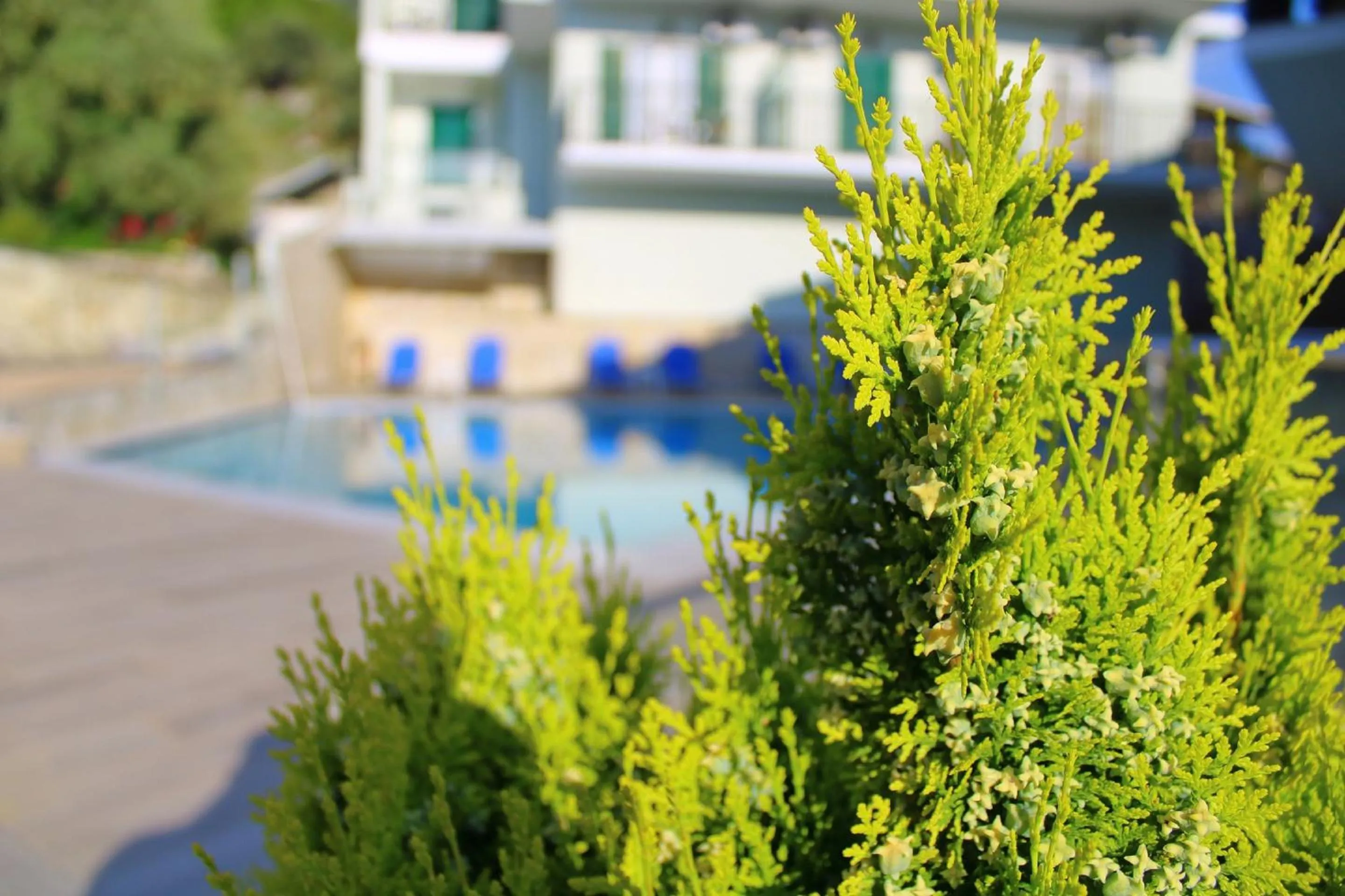 Swimming pool in Vergina Star Hotel