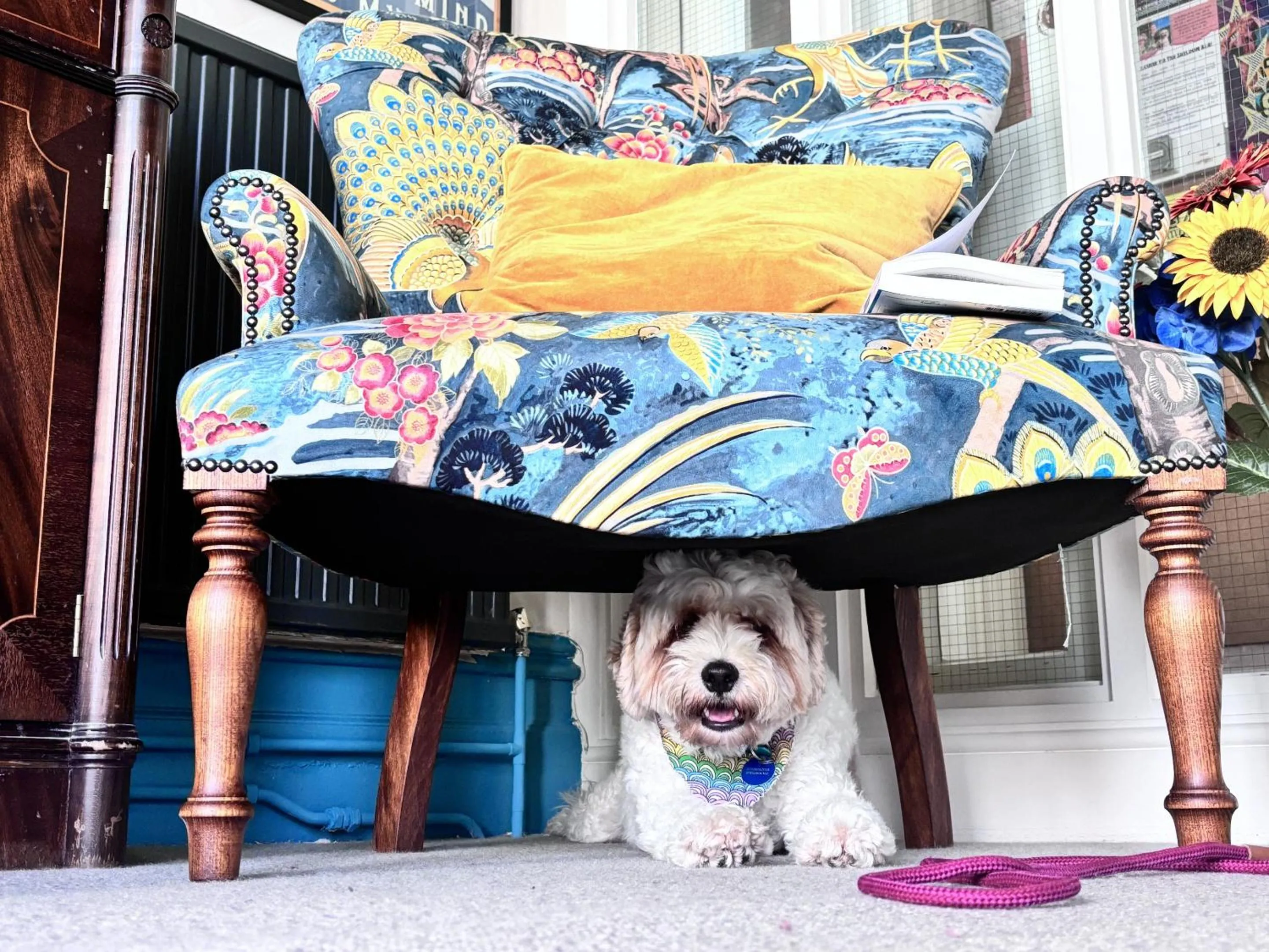 Other in The Sheldon B&B - FREE private parking