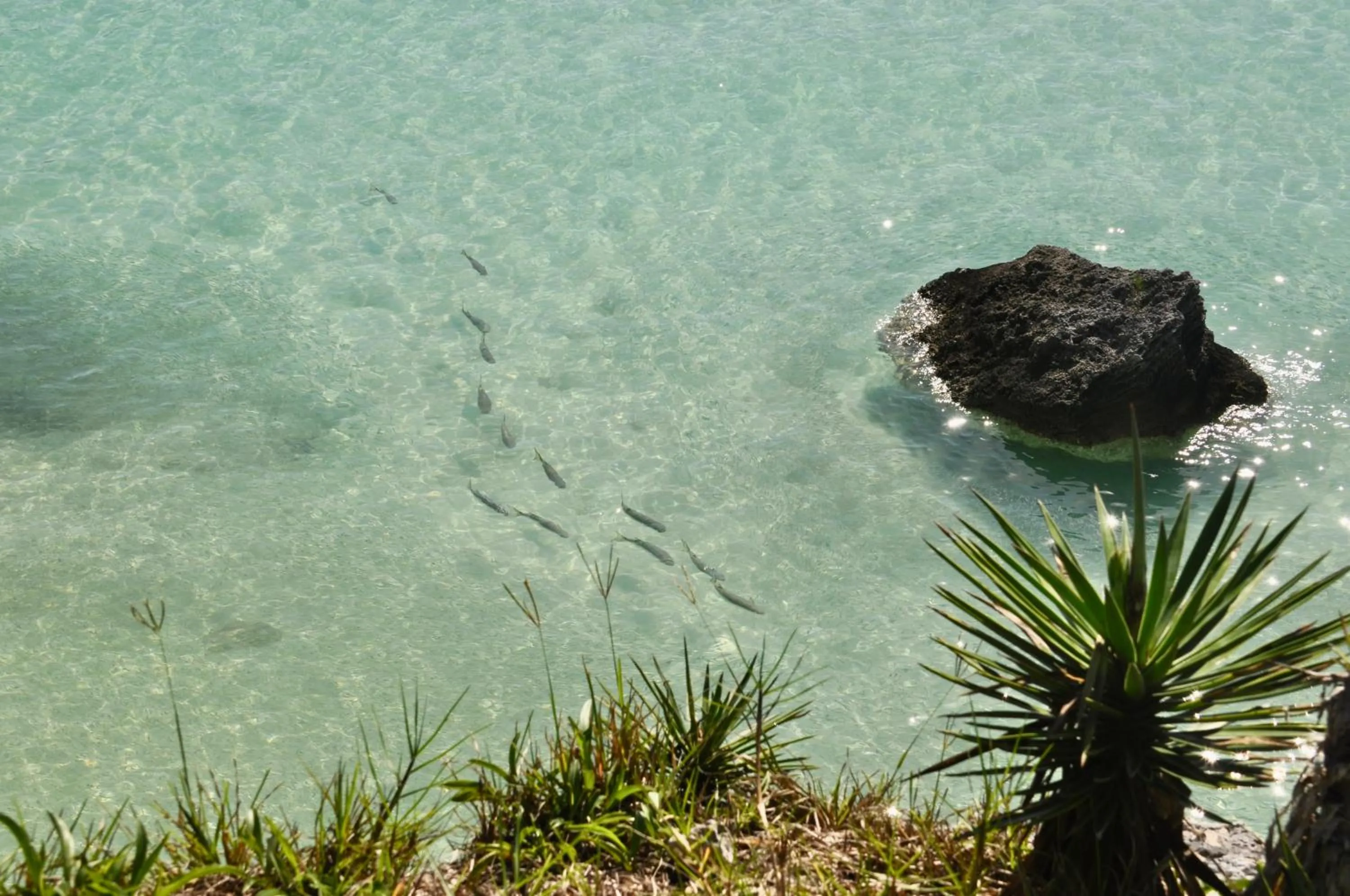 Sea view in Willowbank Resort