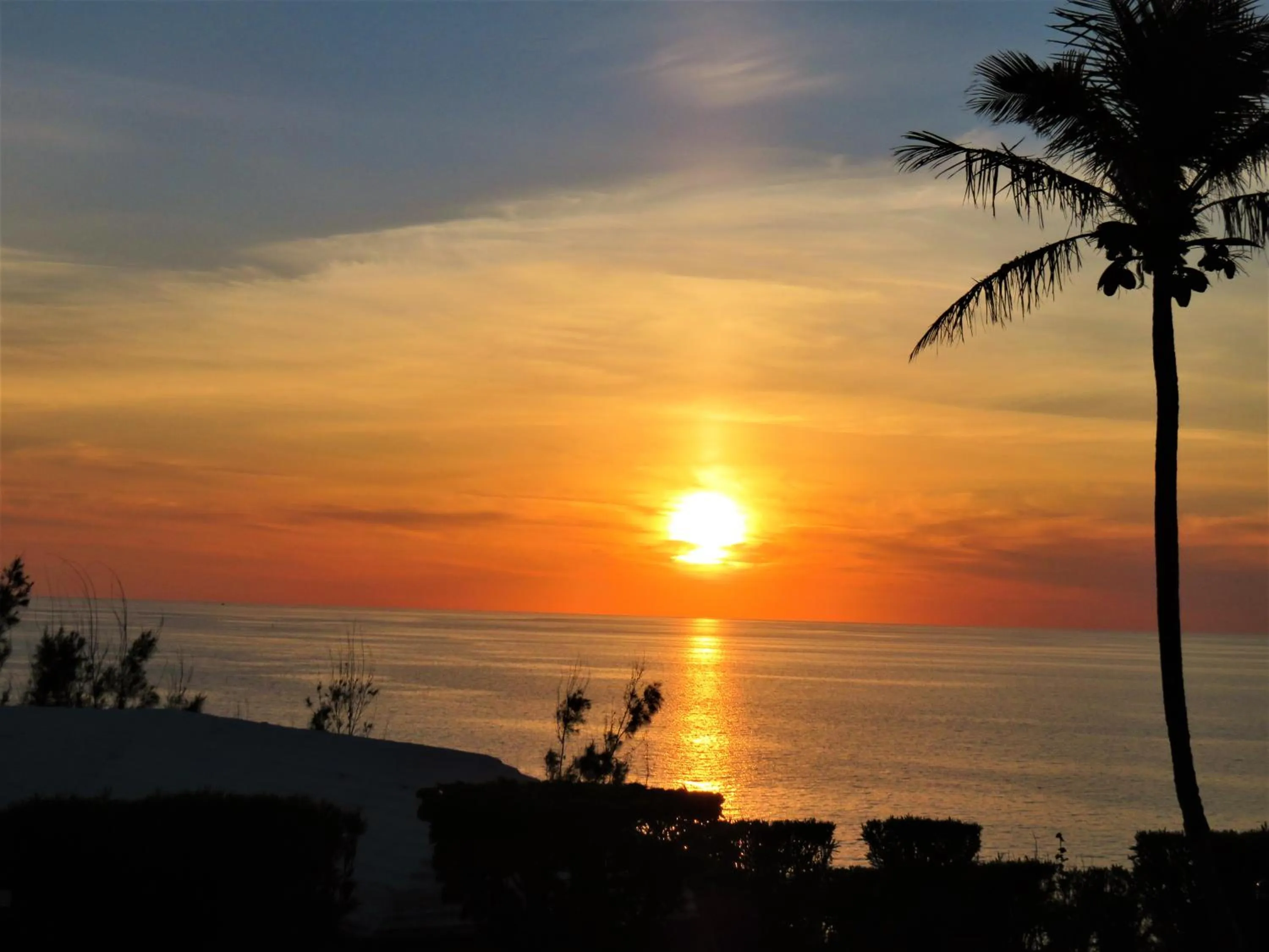 Sea view in Willowbank Resort