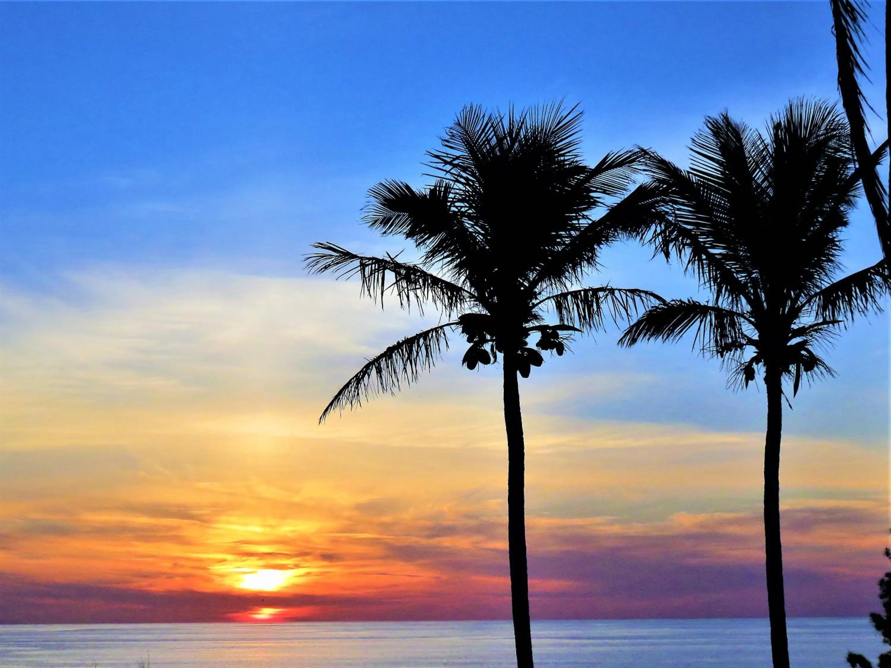 Sea view in Willowbank Resort