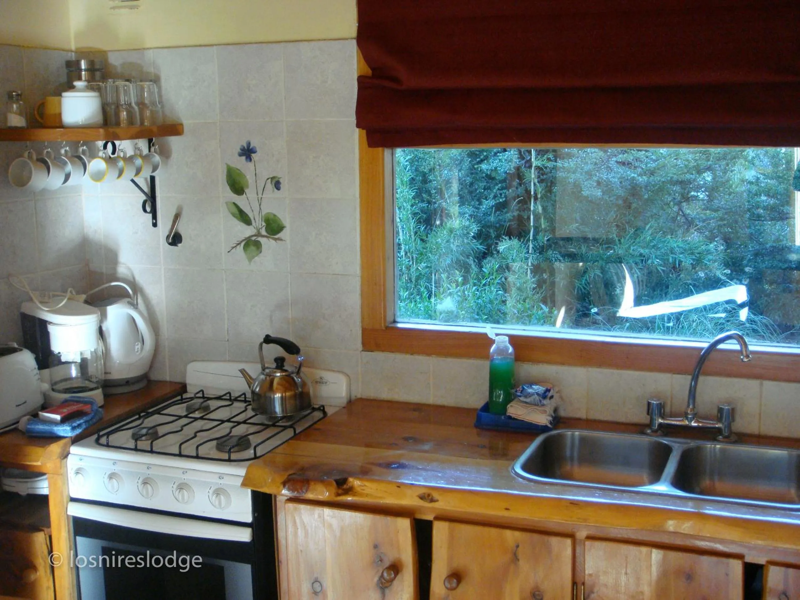 Kitchen or kitchenette in Los Nires Lodge Cerro Catedral
