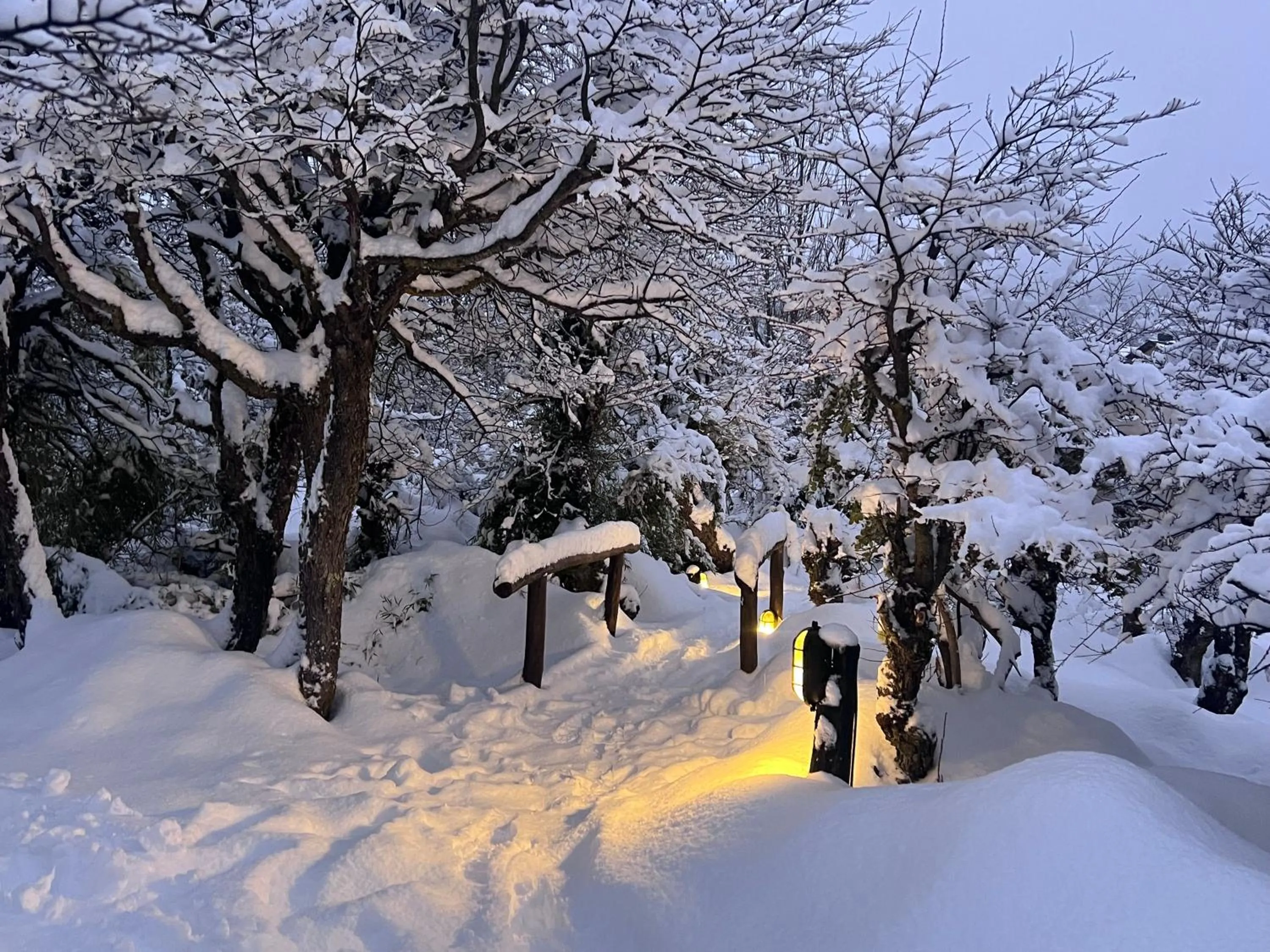 Natural landscape in Los Nires Lodge Cerro Catedral