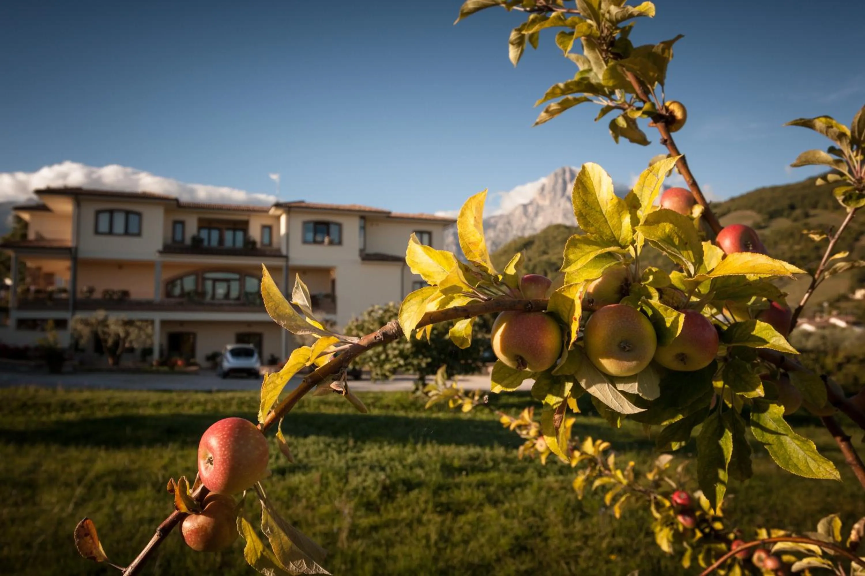 On site in Locanda Del Parco Hotel