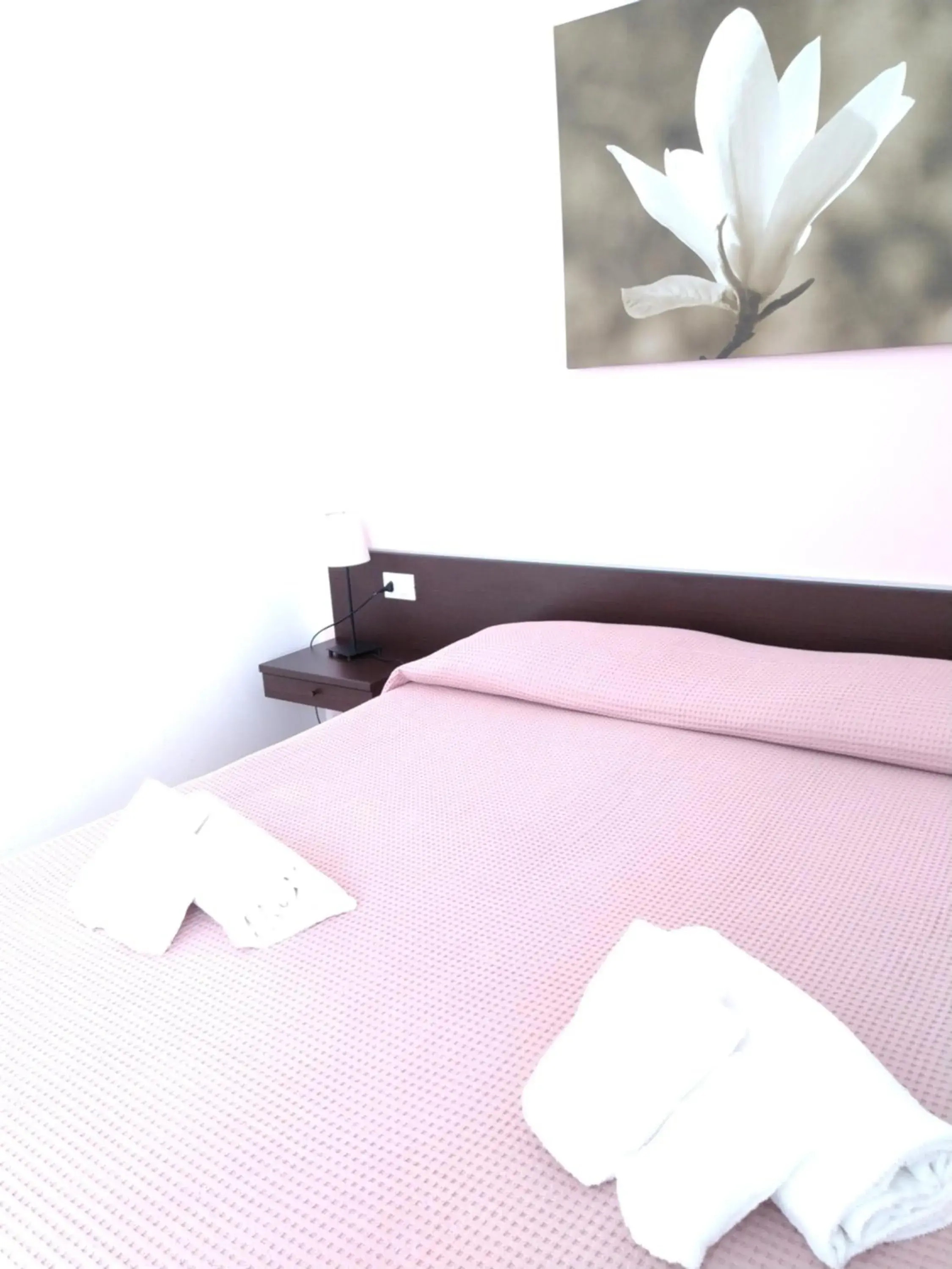Double Room in Magnolia Room & Breakfast Double Room in Magnolia Room & Breakfast