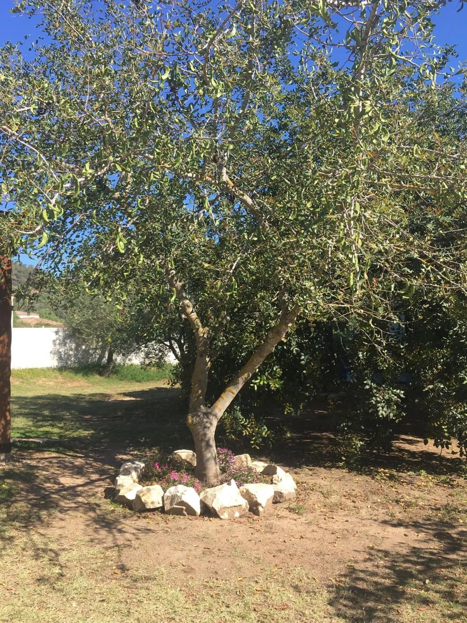 Garden in Residence Cort'e Accas