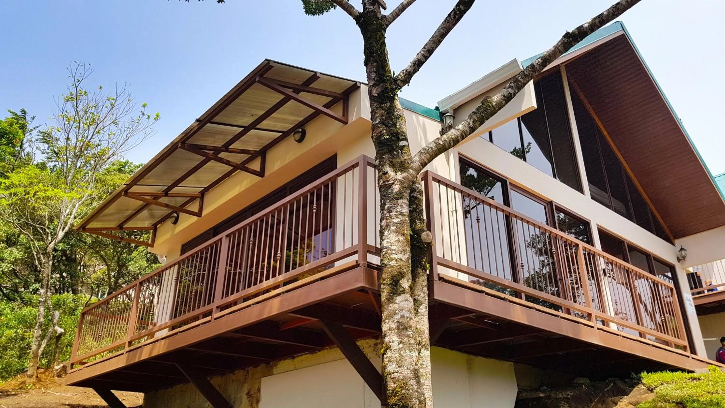 Green Forest Rustic Houses