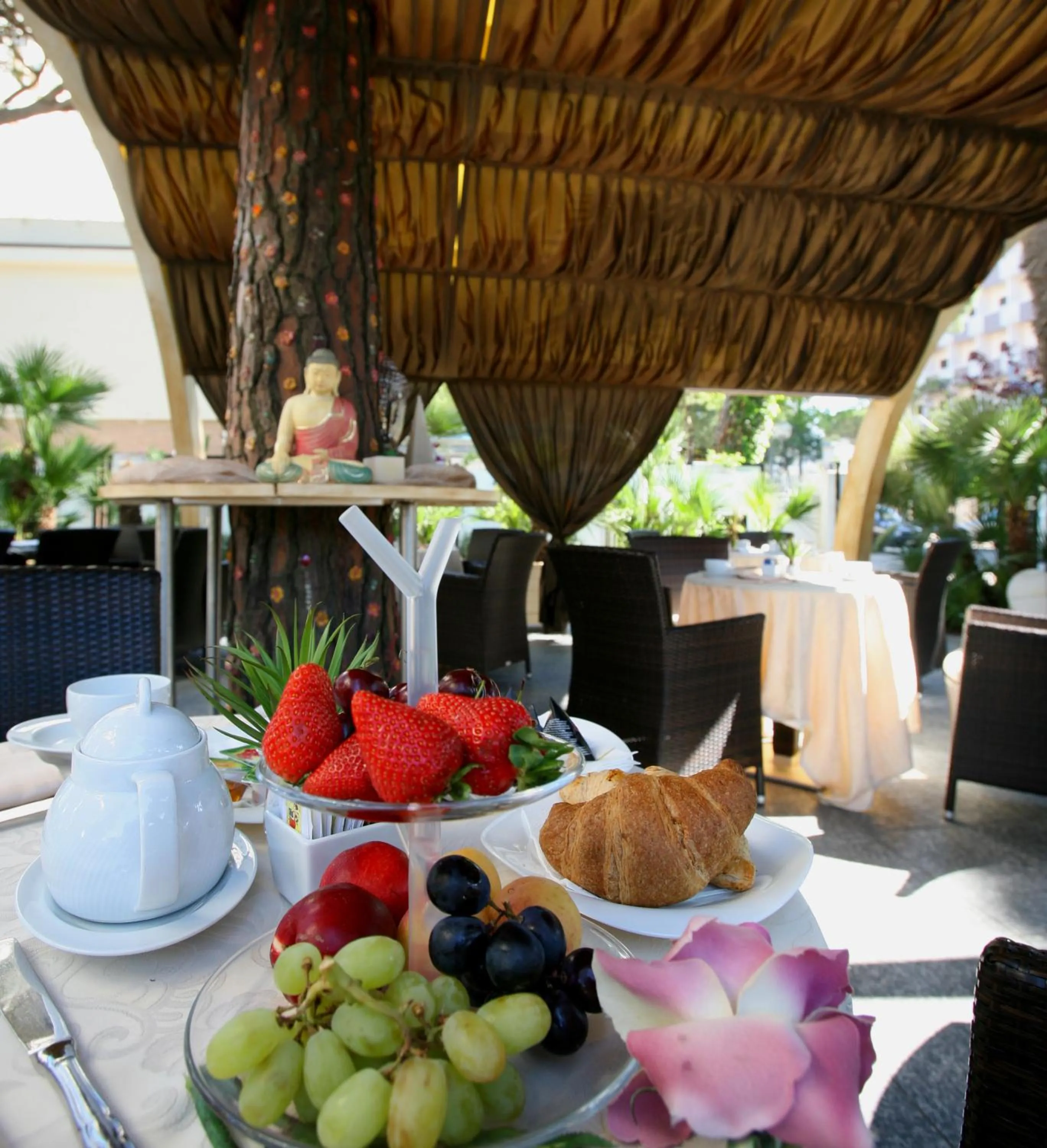 Garden in Hotel Alexander