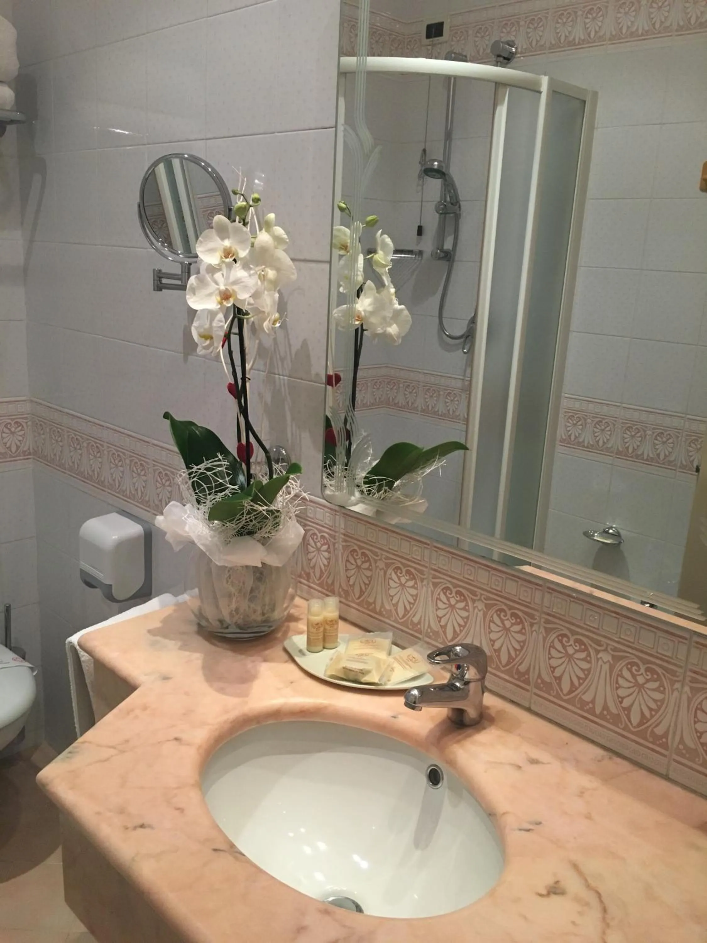 Bathroom in Hotel Alexander