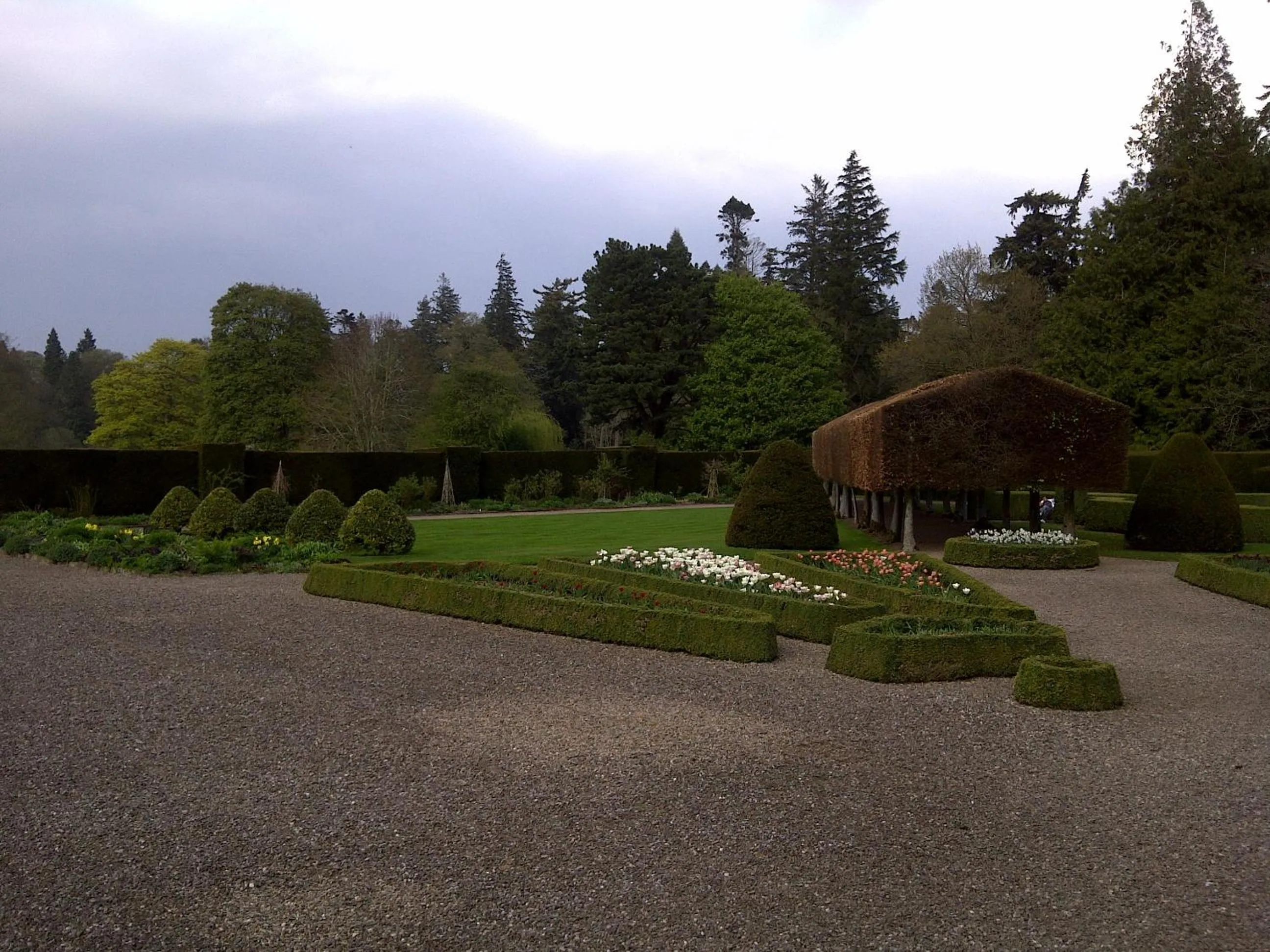 Area and facilities in Hazeldene Guest House
