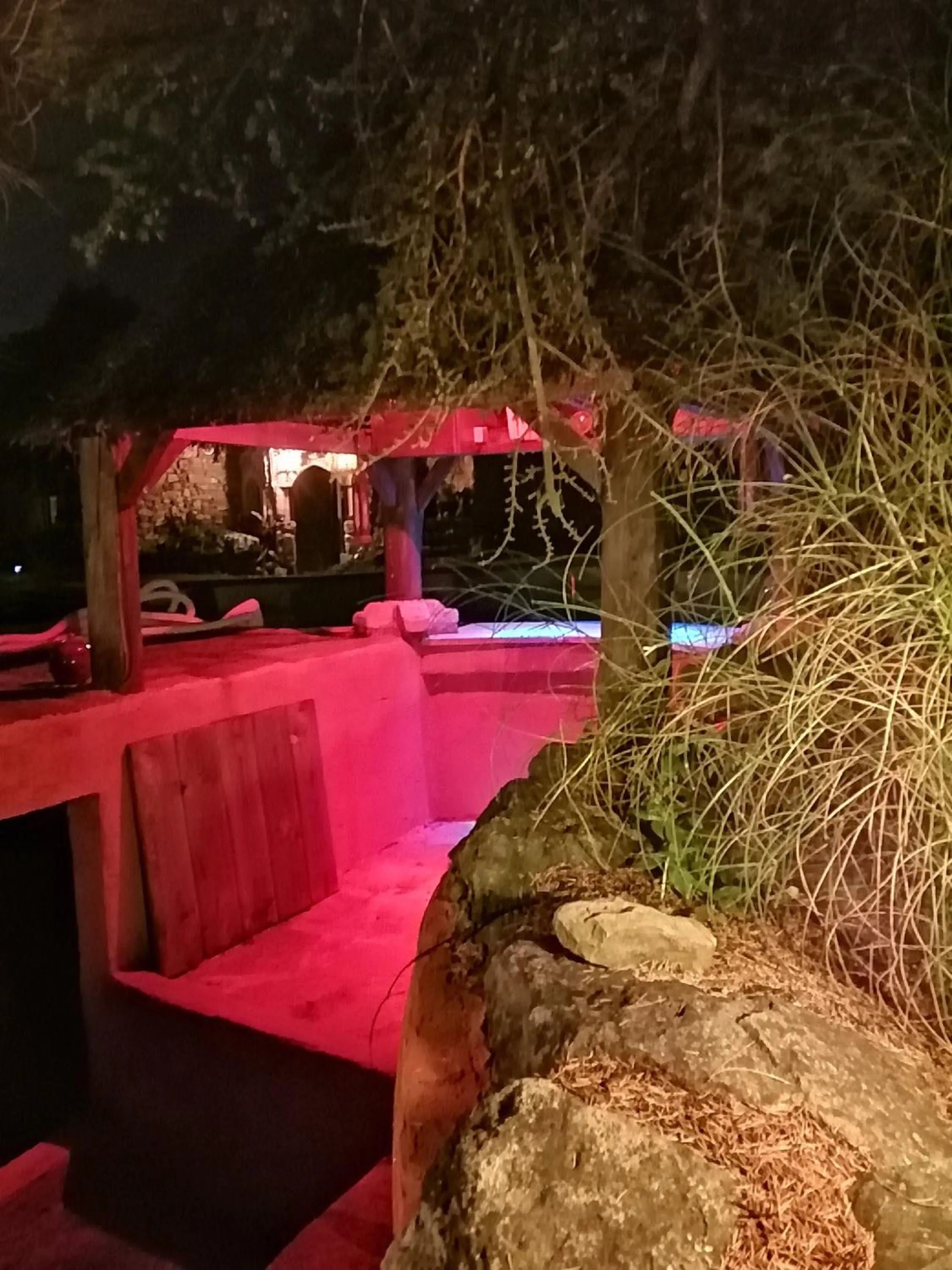 Pool view in Suite Médiévale 40m2 chambre d' hôte du Mas Fabrègue