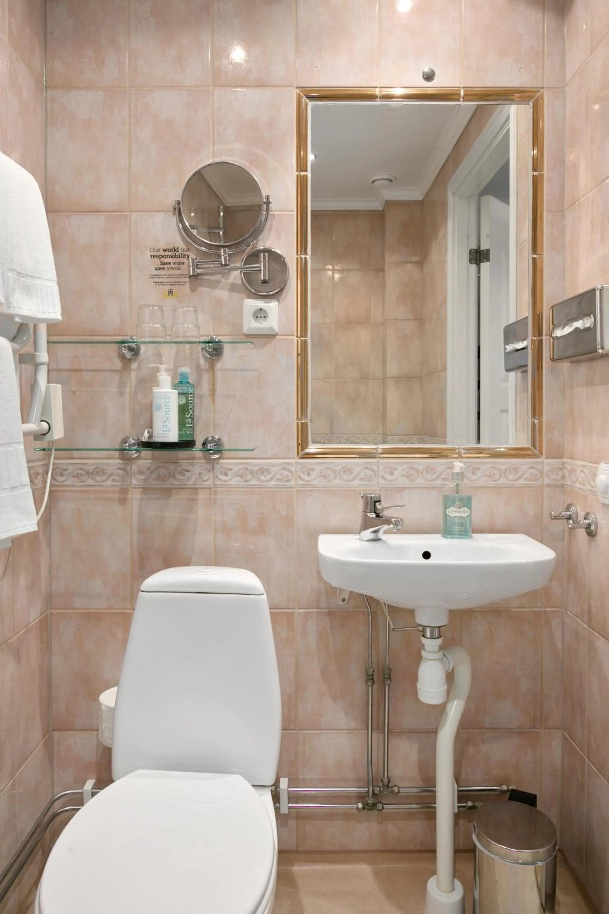 Toilet in Toftaholm Herrgård