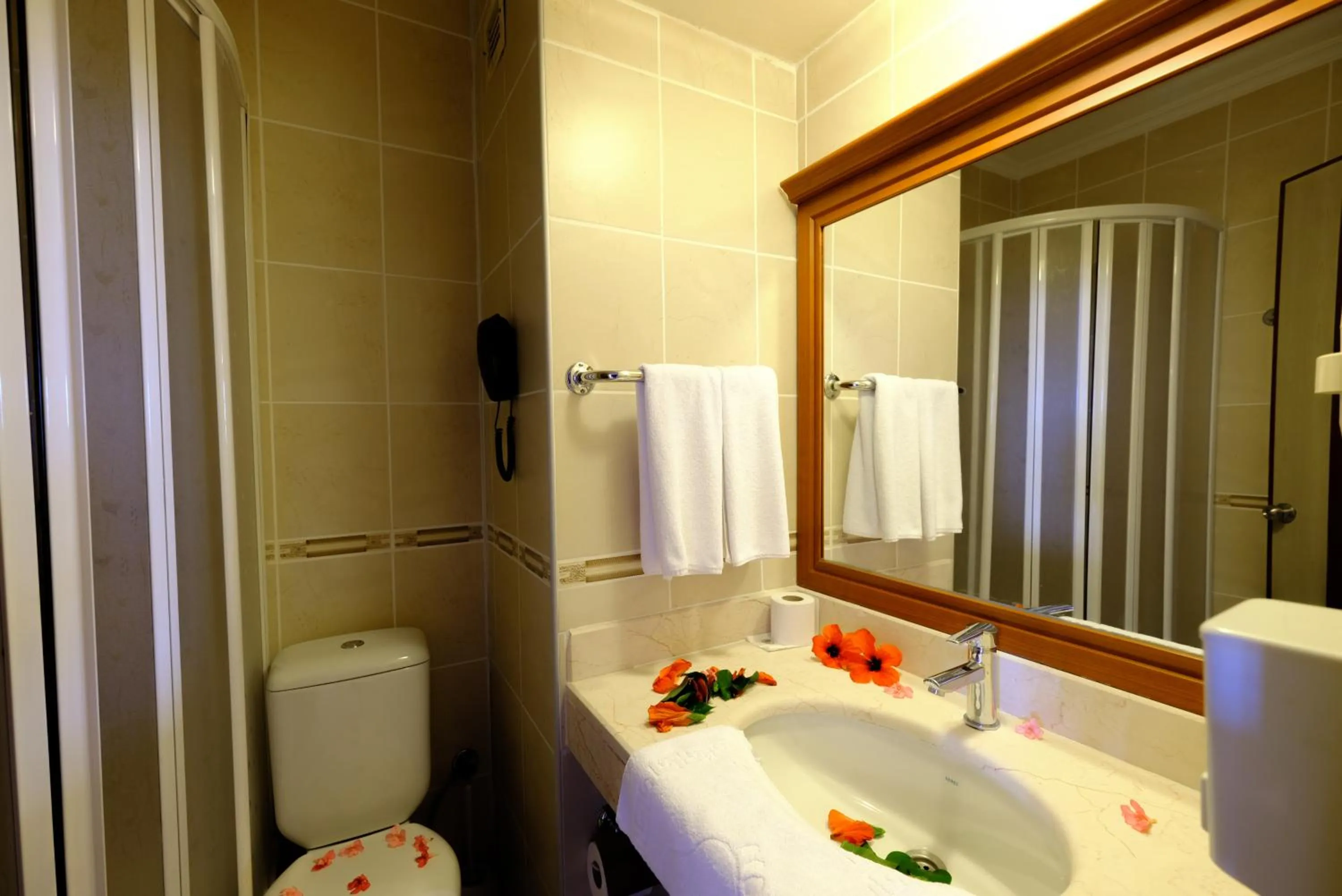 Other in Anitas Hotel