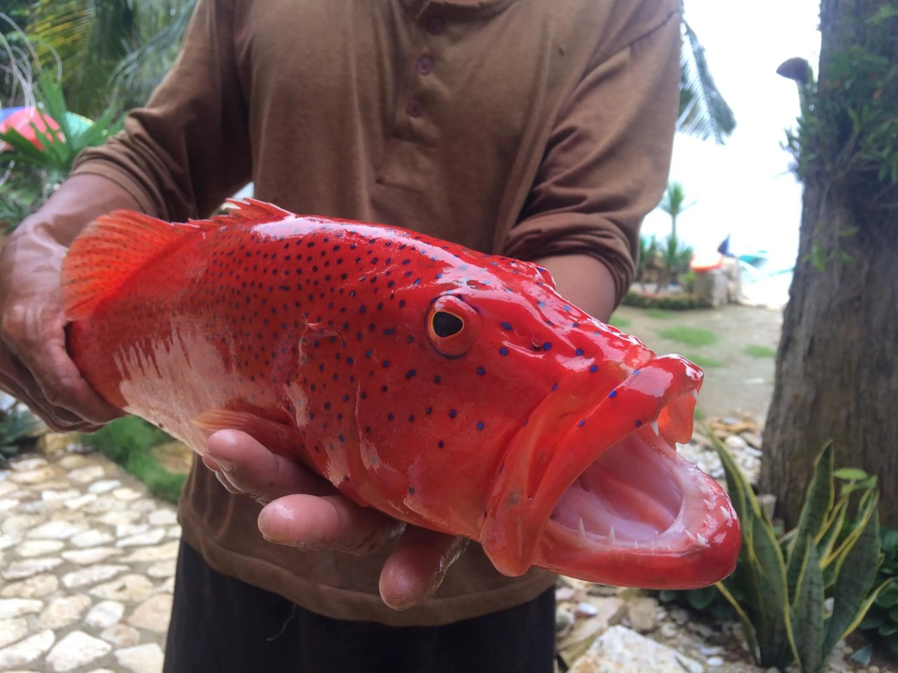 Property building in Tinaoog Beach Resort