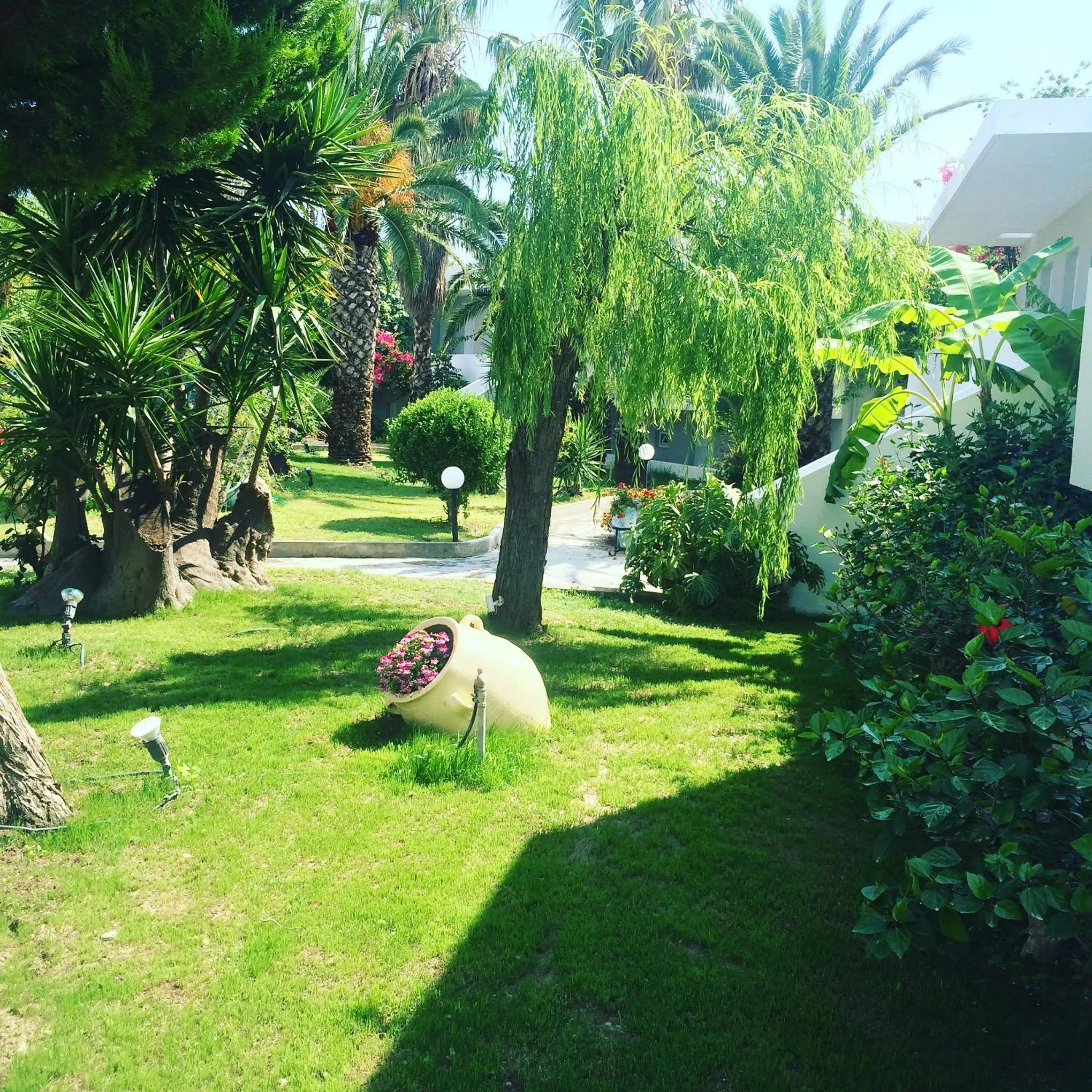 Garden in Palm Beach Hotel - Adults only