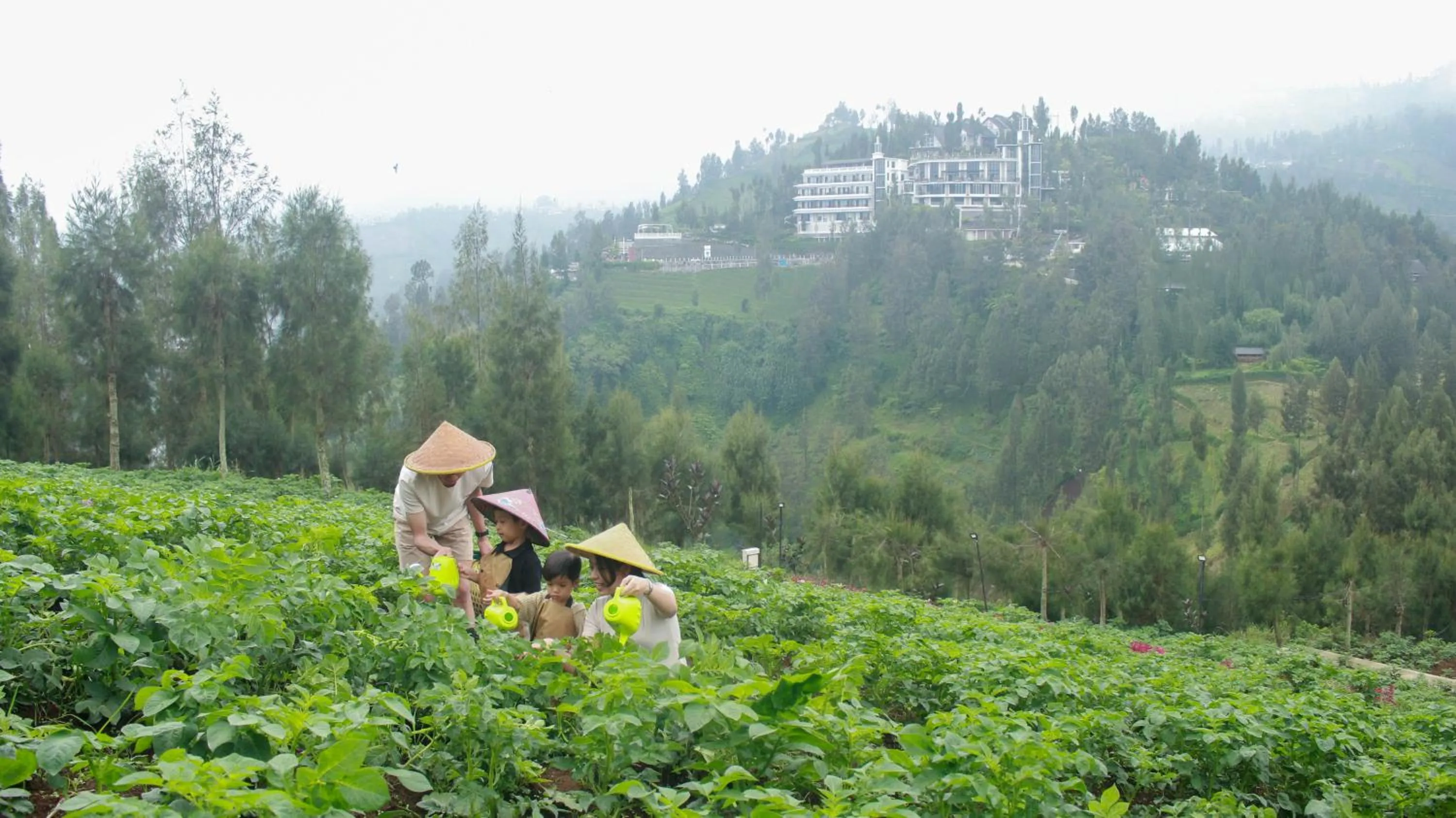 Activities in Plataran Bromo