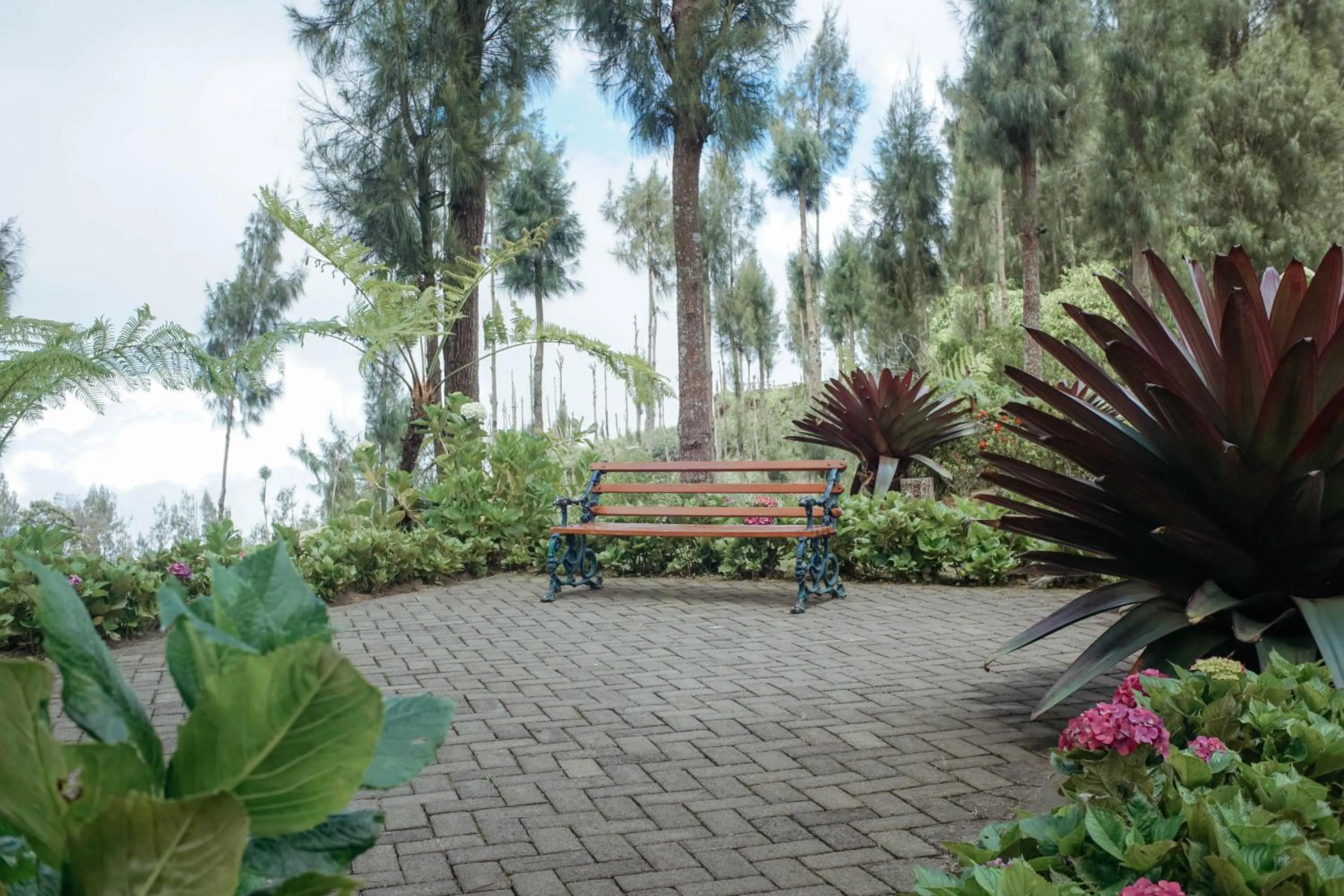 Garden in Plataran Bromo