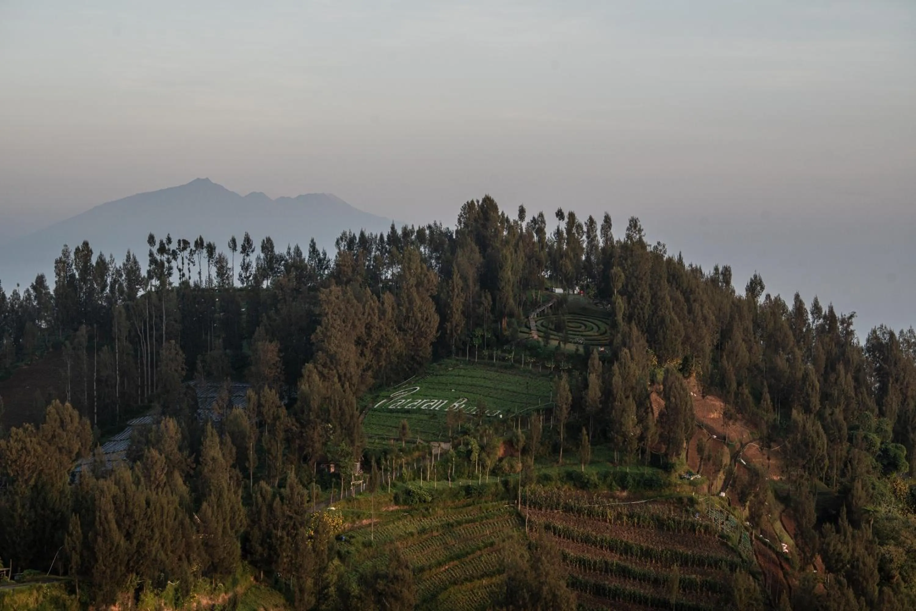 View (from property/room) in Plataran Bromo