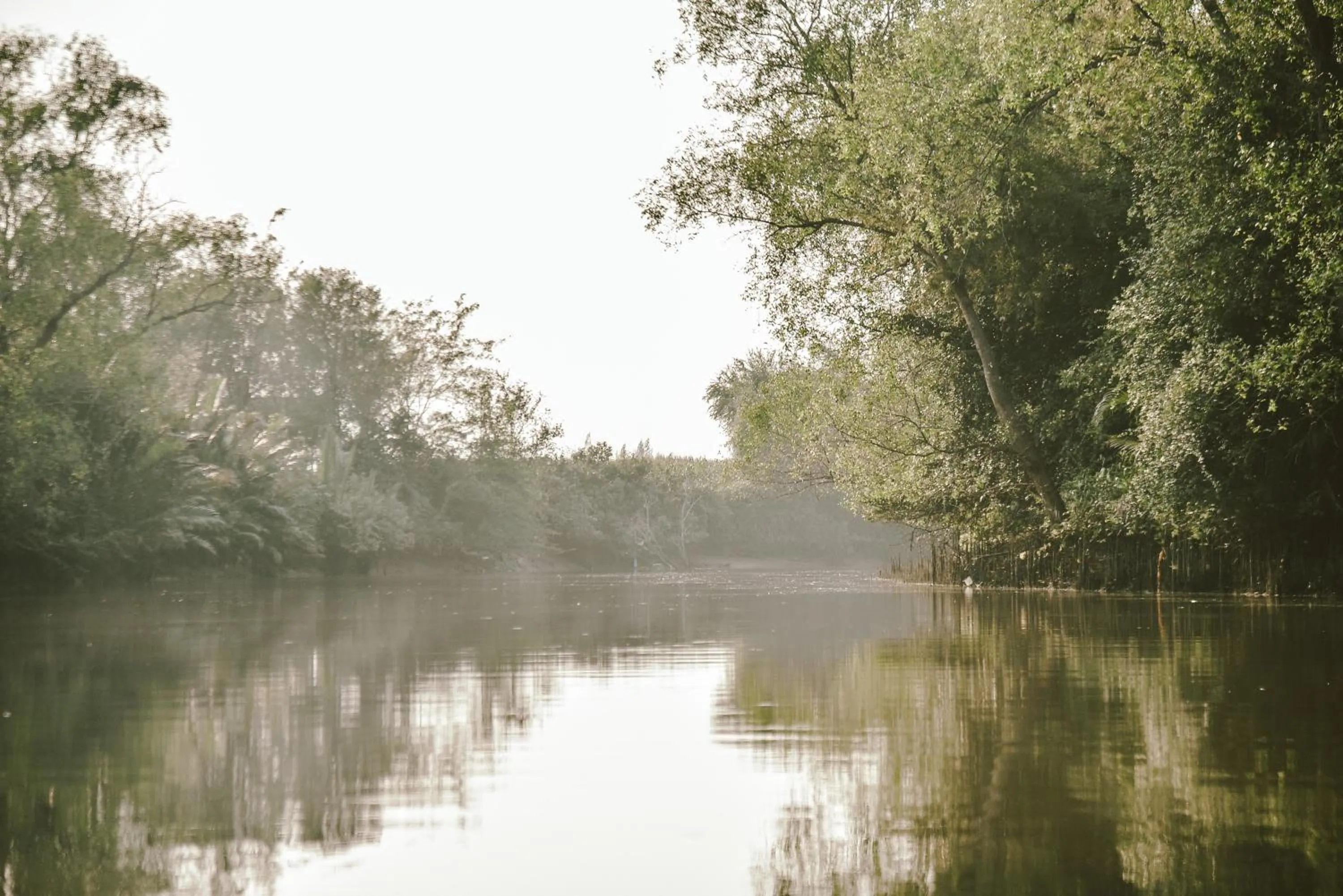 Area and facilities in Palm Pran Resort