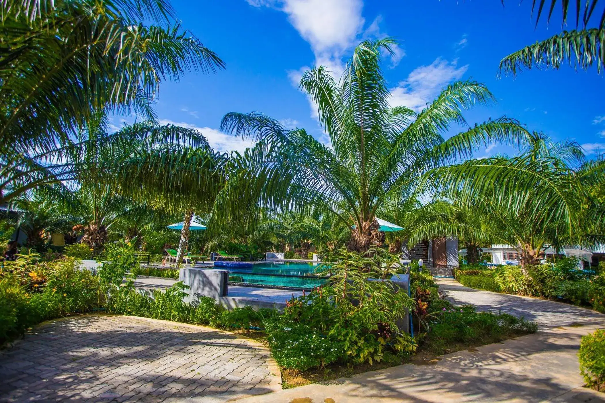 View (from property/room) in Palm Pran Resort View (from property/room) in Palm Pran Resort