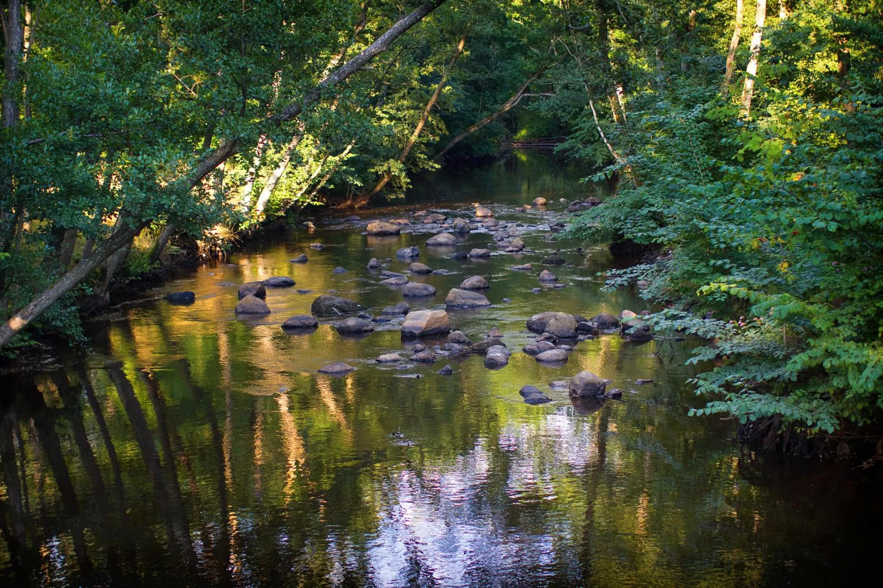 Natural landscape in Hotel Riviera Strand