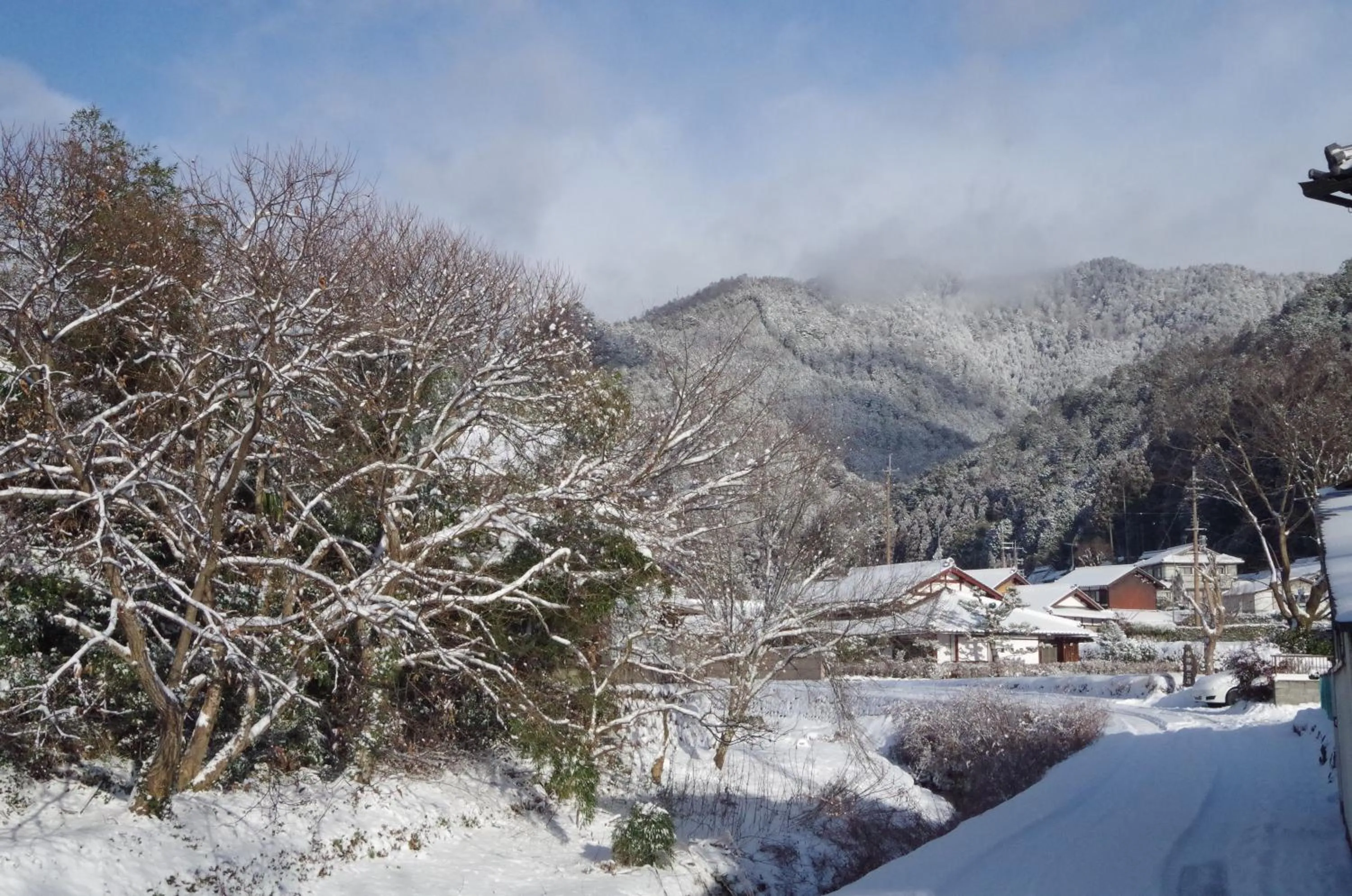 View (from property/room) in Ryoso Chatani