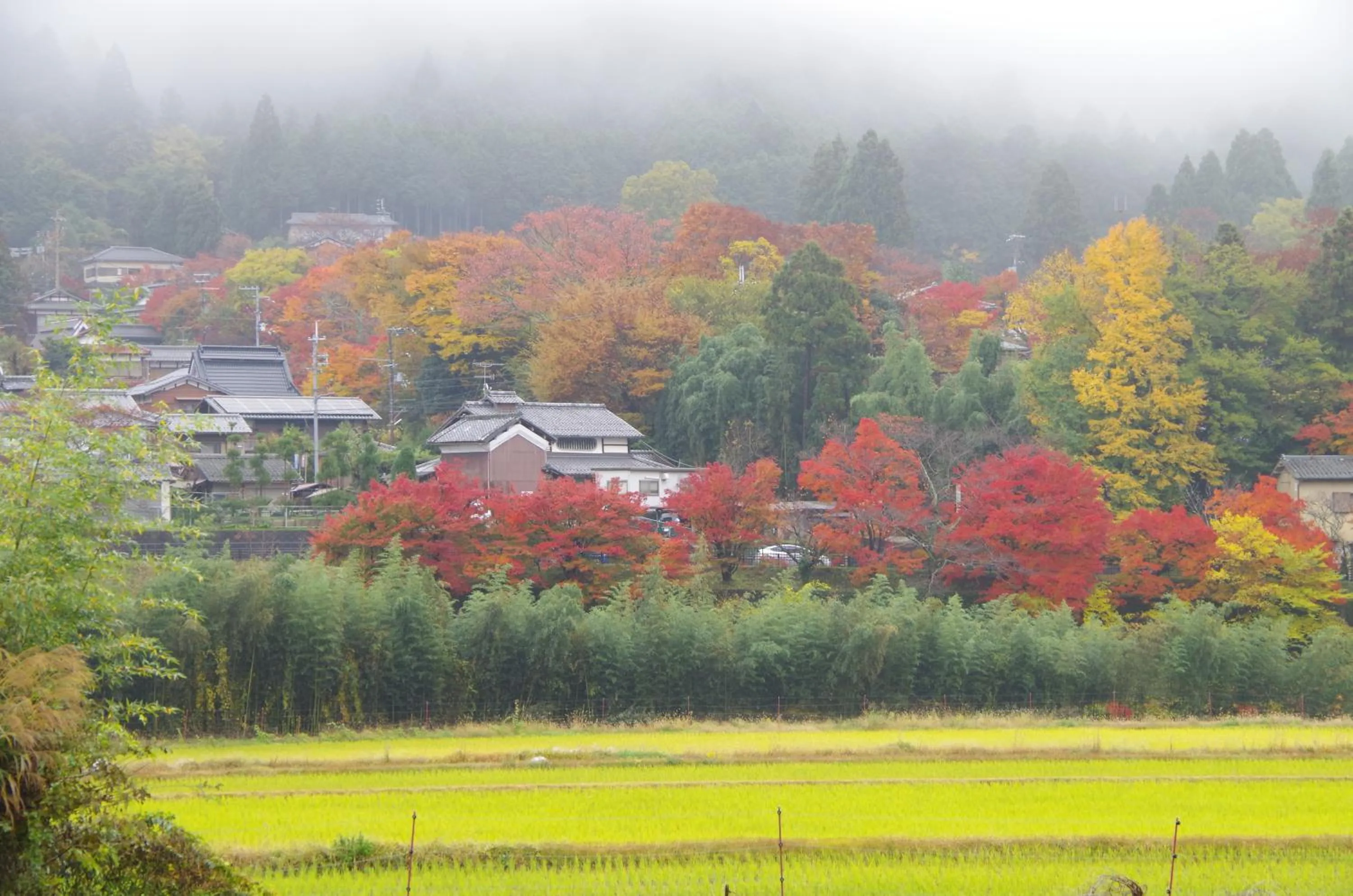 Off site in Ryoso Chatani