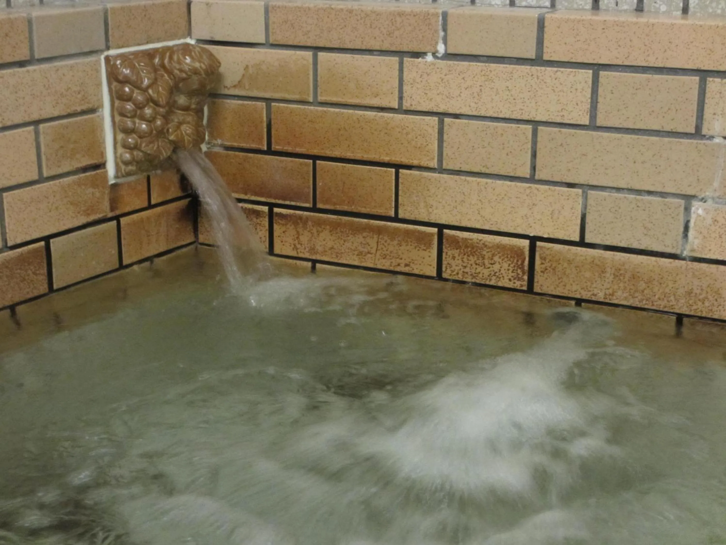 Hot Spring Bath in Ryoso Chatani