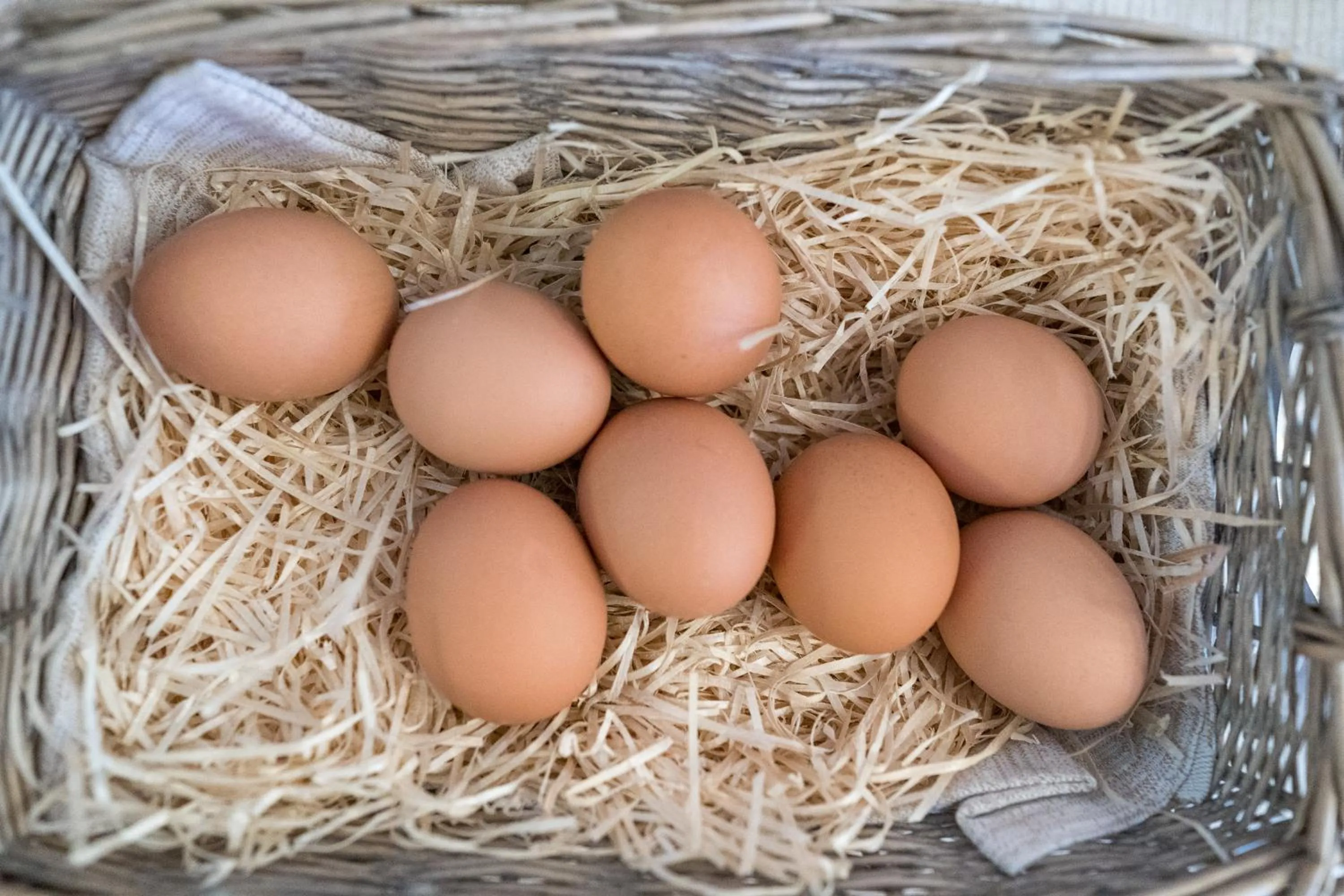 Food in Lola Piccolo Hotel e Appartamenti