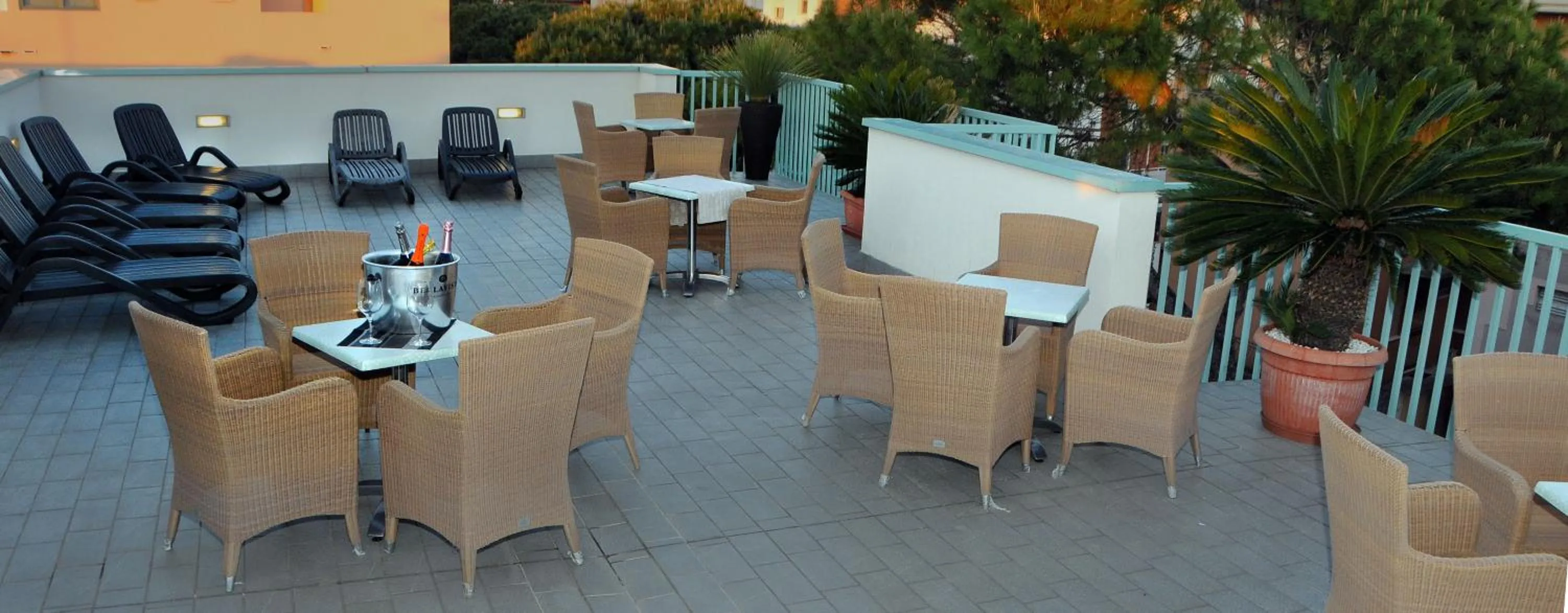 Area and facilities in Hotel Raffaello