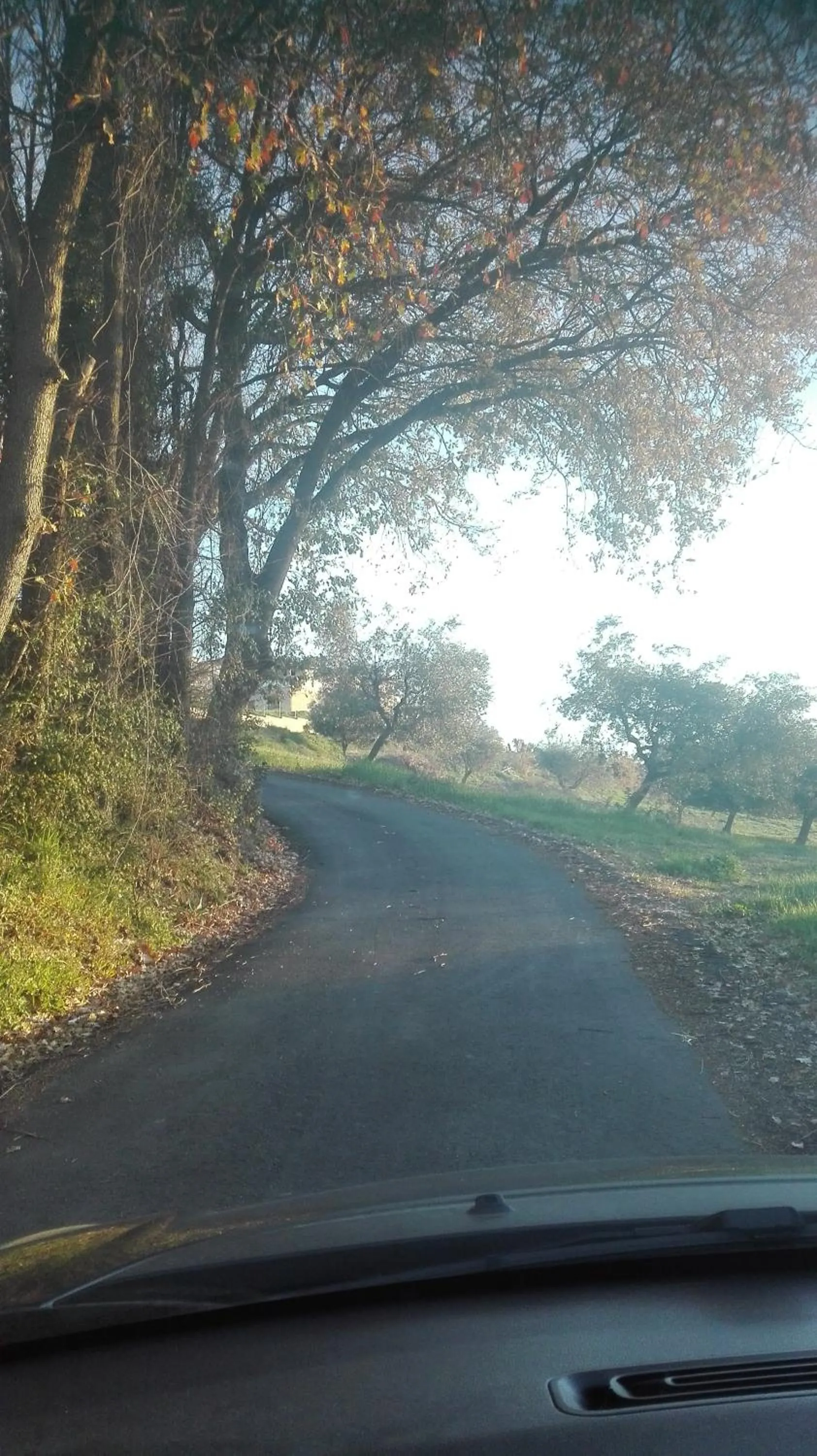 Street view in Petronilla