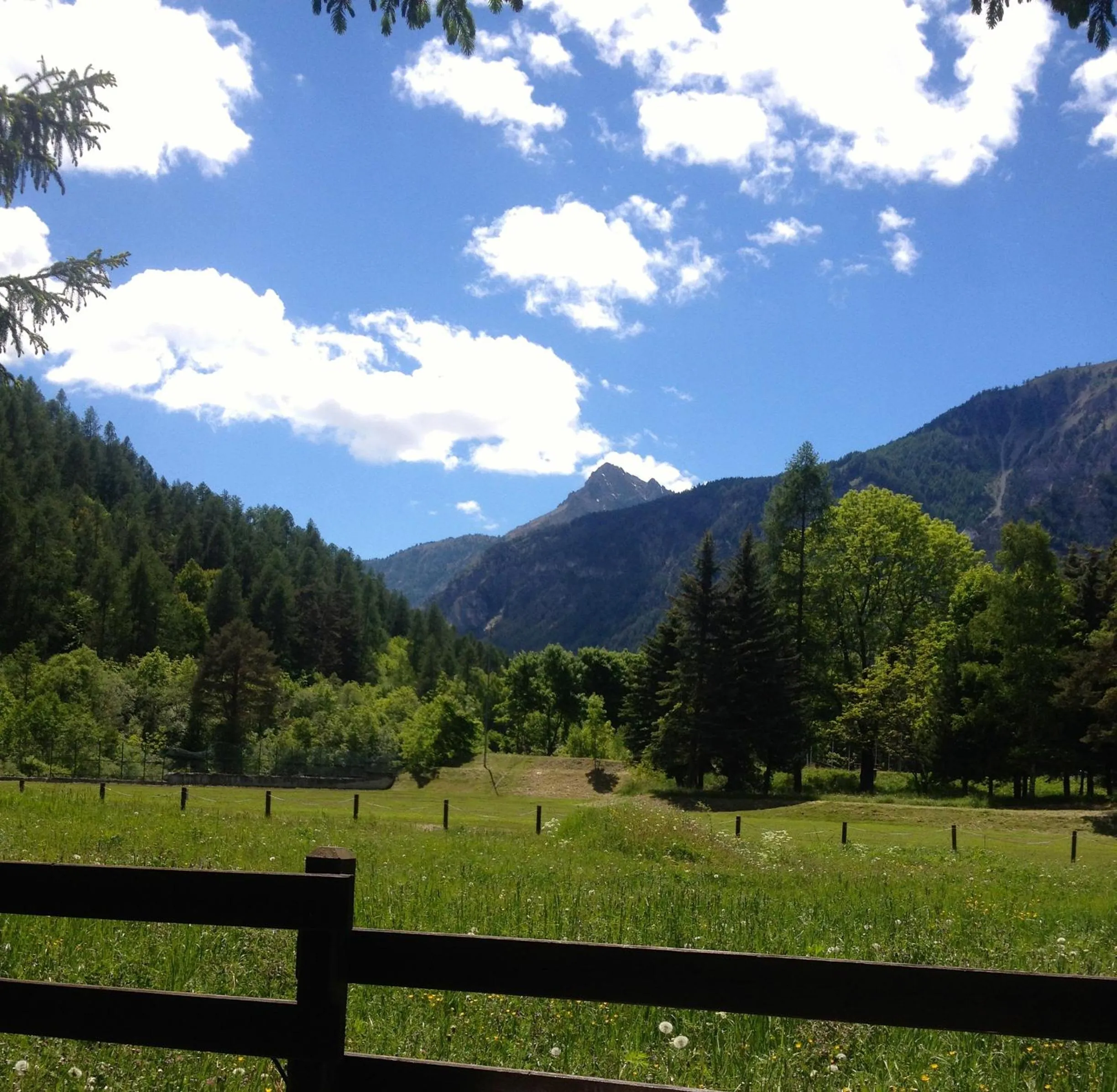 Day in Hotel Rosa Serenella