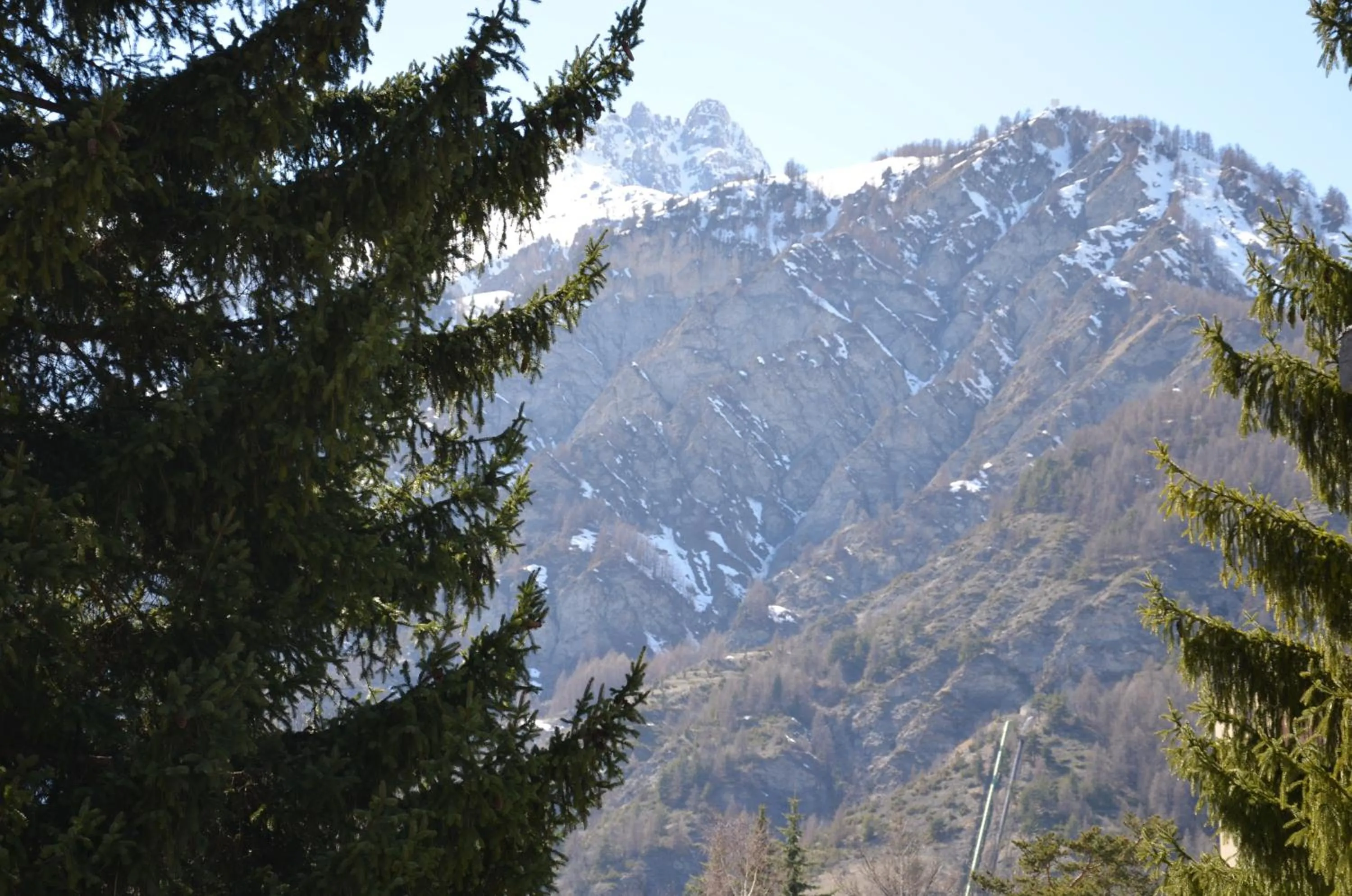 View (from property/room) in Hotel Rosa Serenella