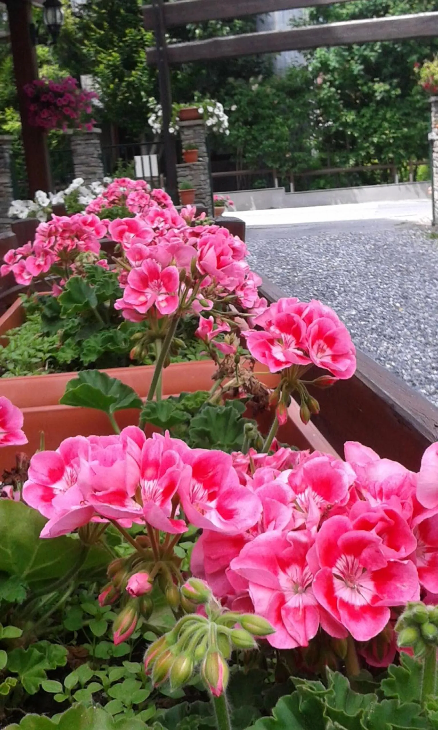 Decorative detail in Hotel Rosa Serenella
