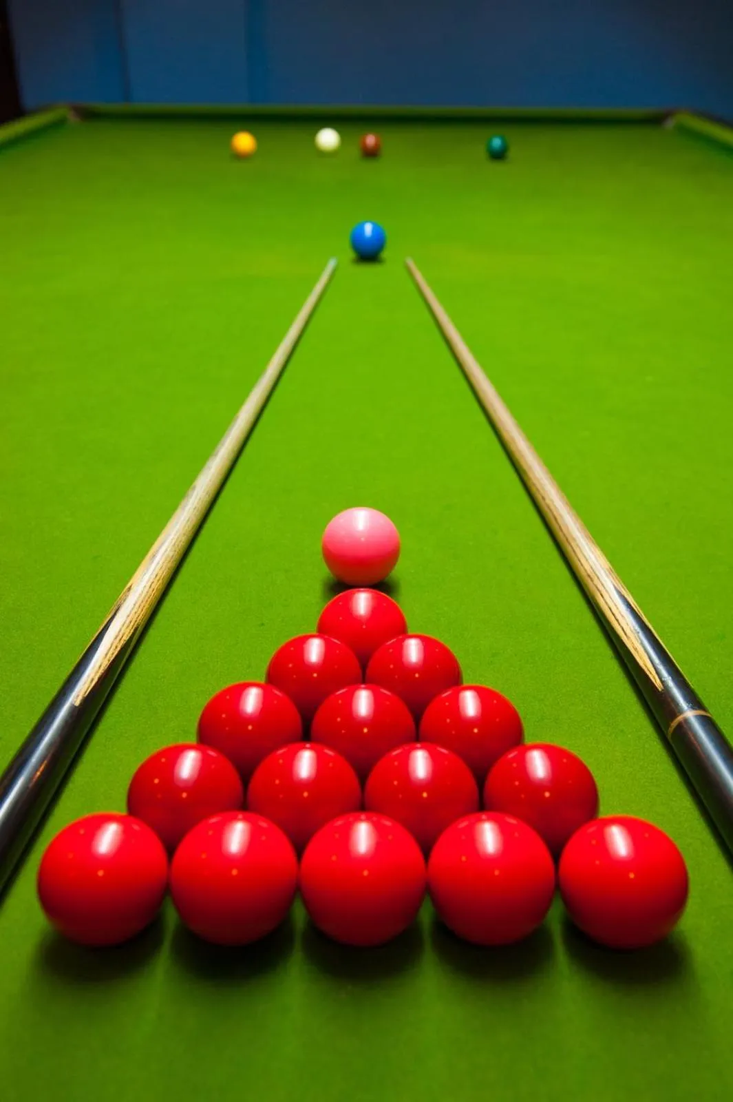 Phi Phi Island Cabana Hotel