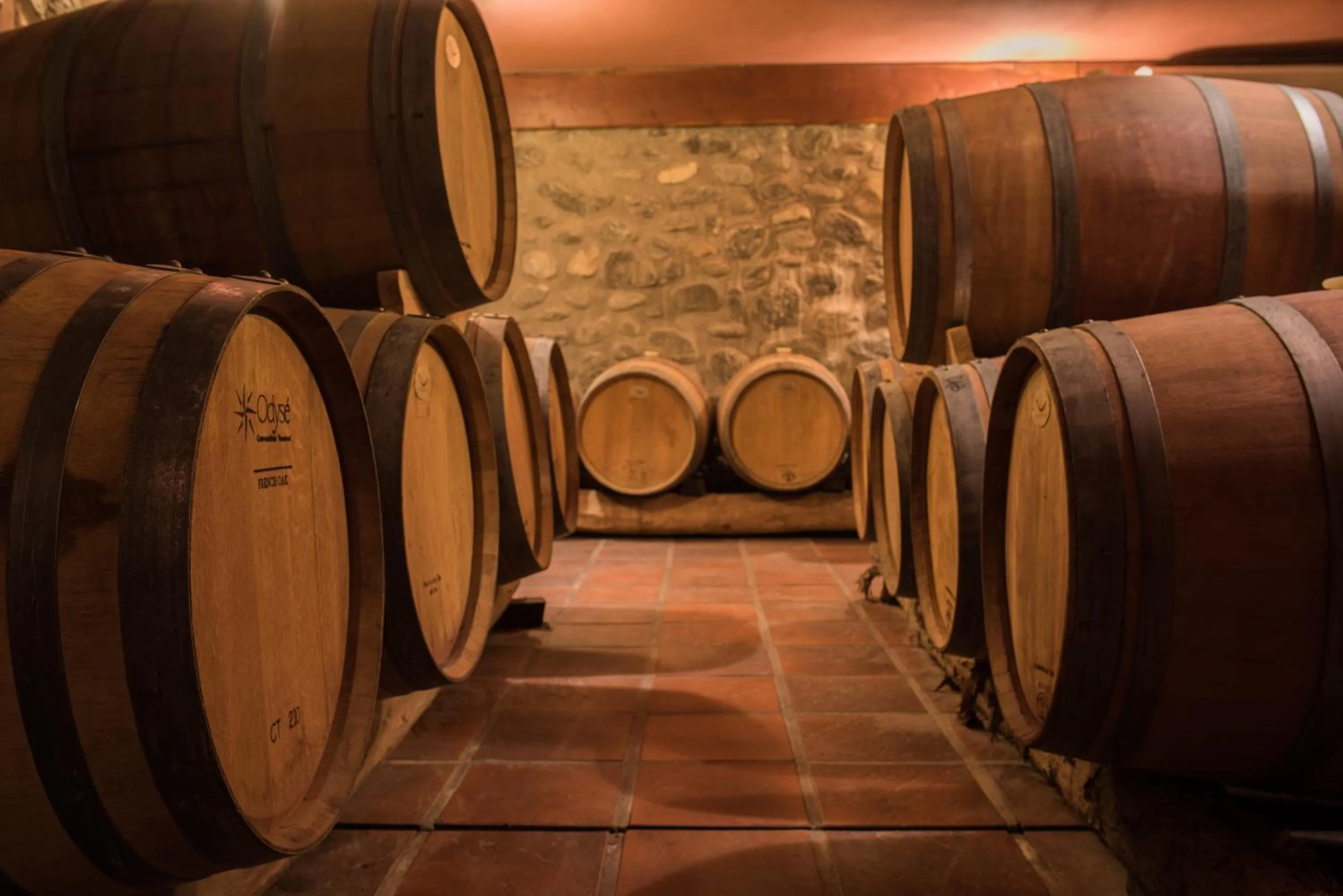 Activities in La Casa De La Bodega - Wine Boutique Hotel