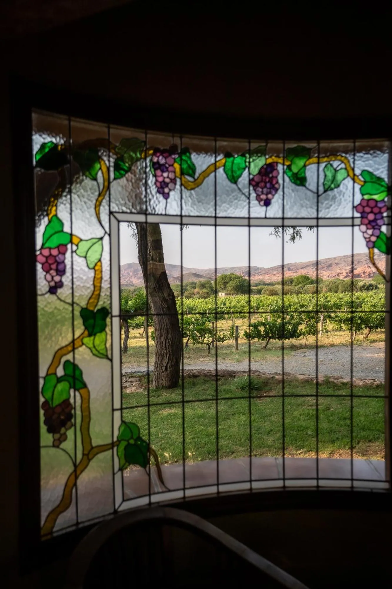 La Casa De La Bodega - Wine Boutique Hotel