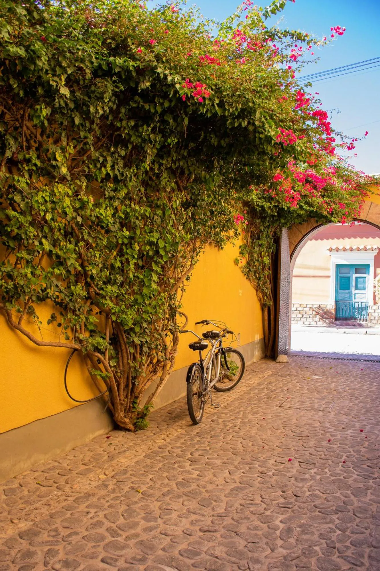 Cycling in Villa Vicuña Cafayate Boutique Hotel