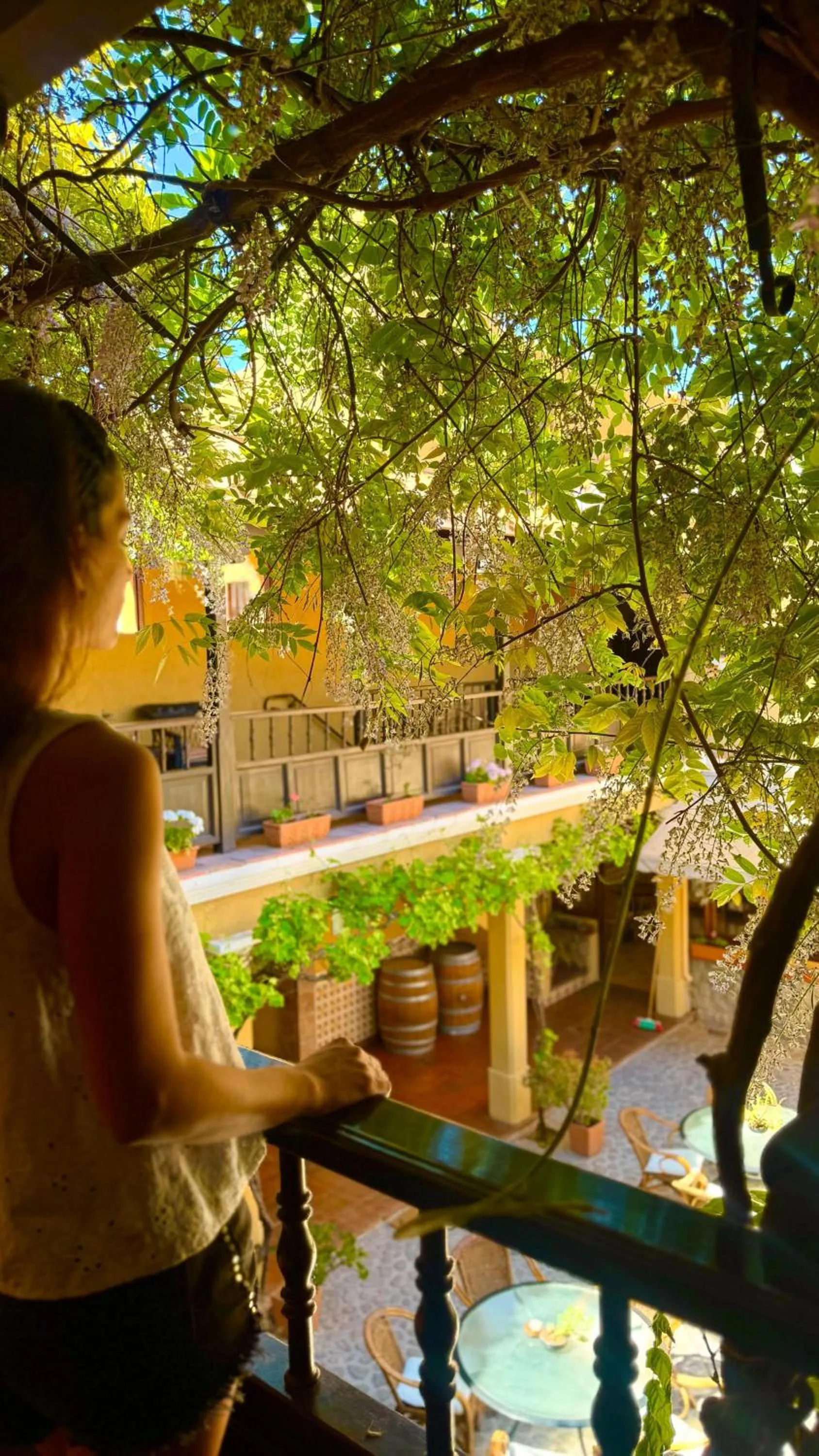 Patio in Villa Vicuña Cafayate Boutique Hotel