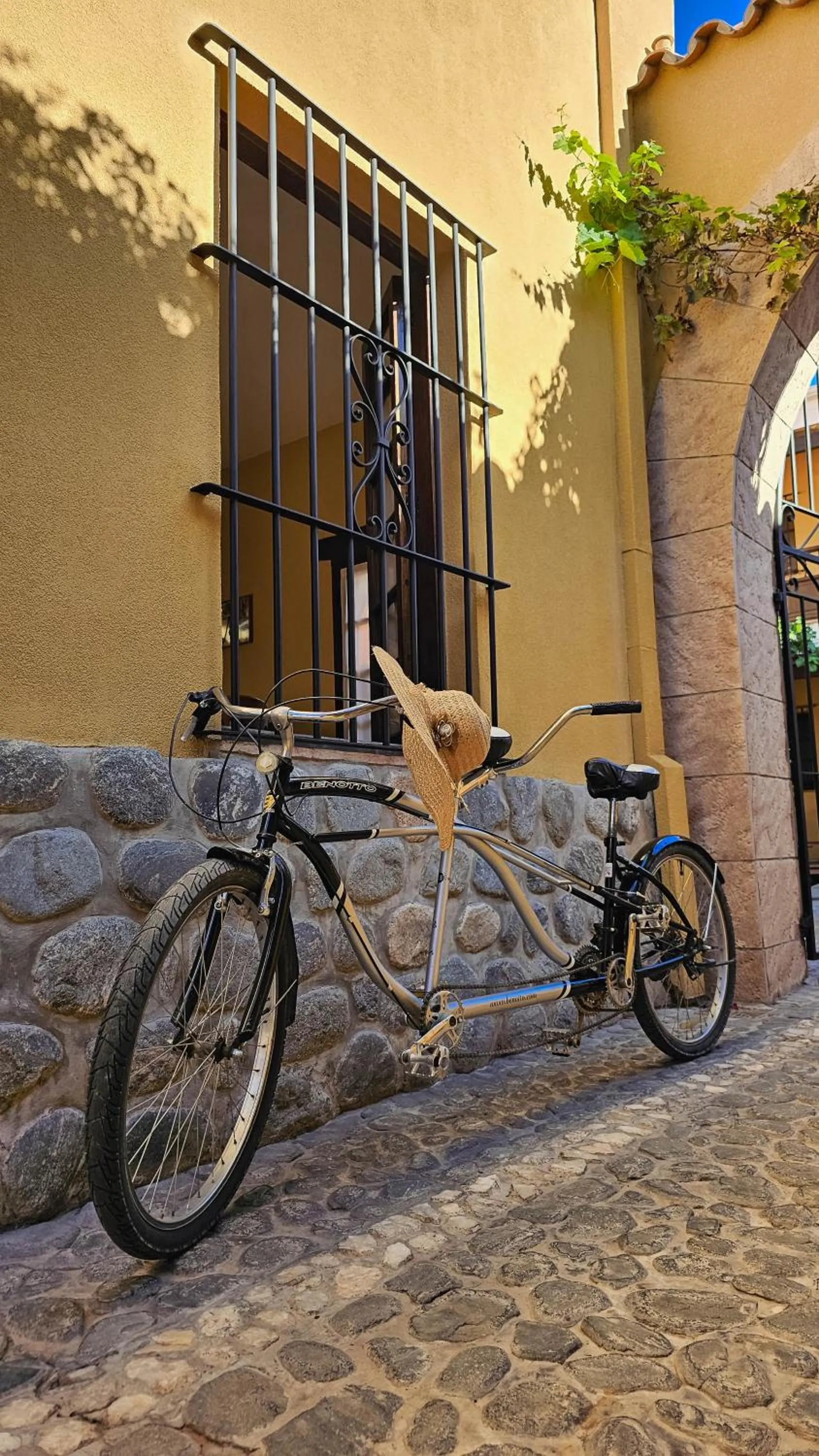 Cycling in Villa Vicuña Cafayate Boutique Hotel