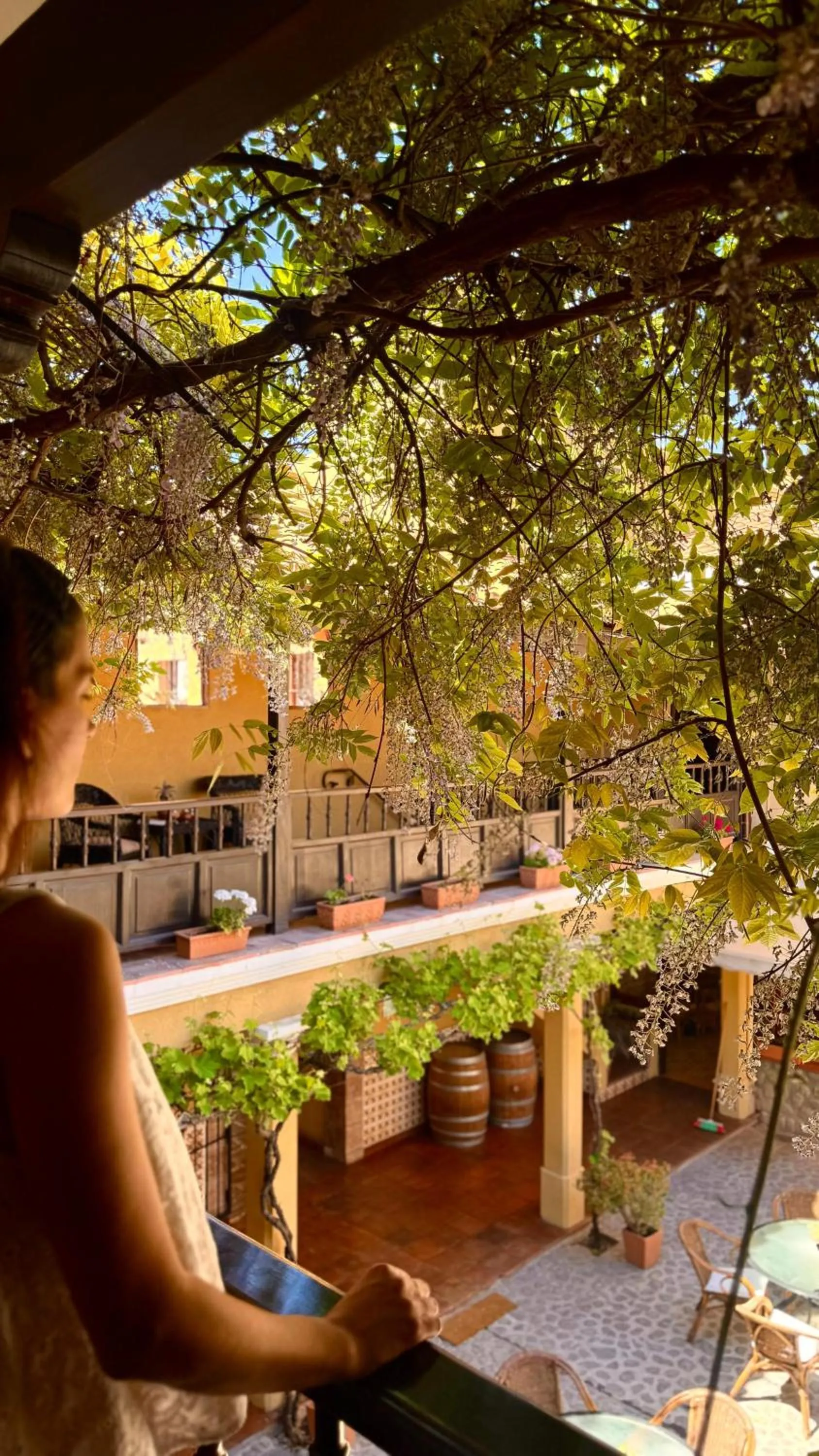 Patio in Villa Vicuña Cafayate Boutique Hotel