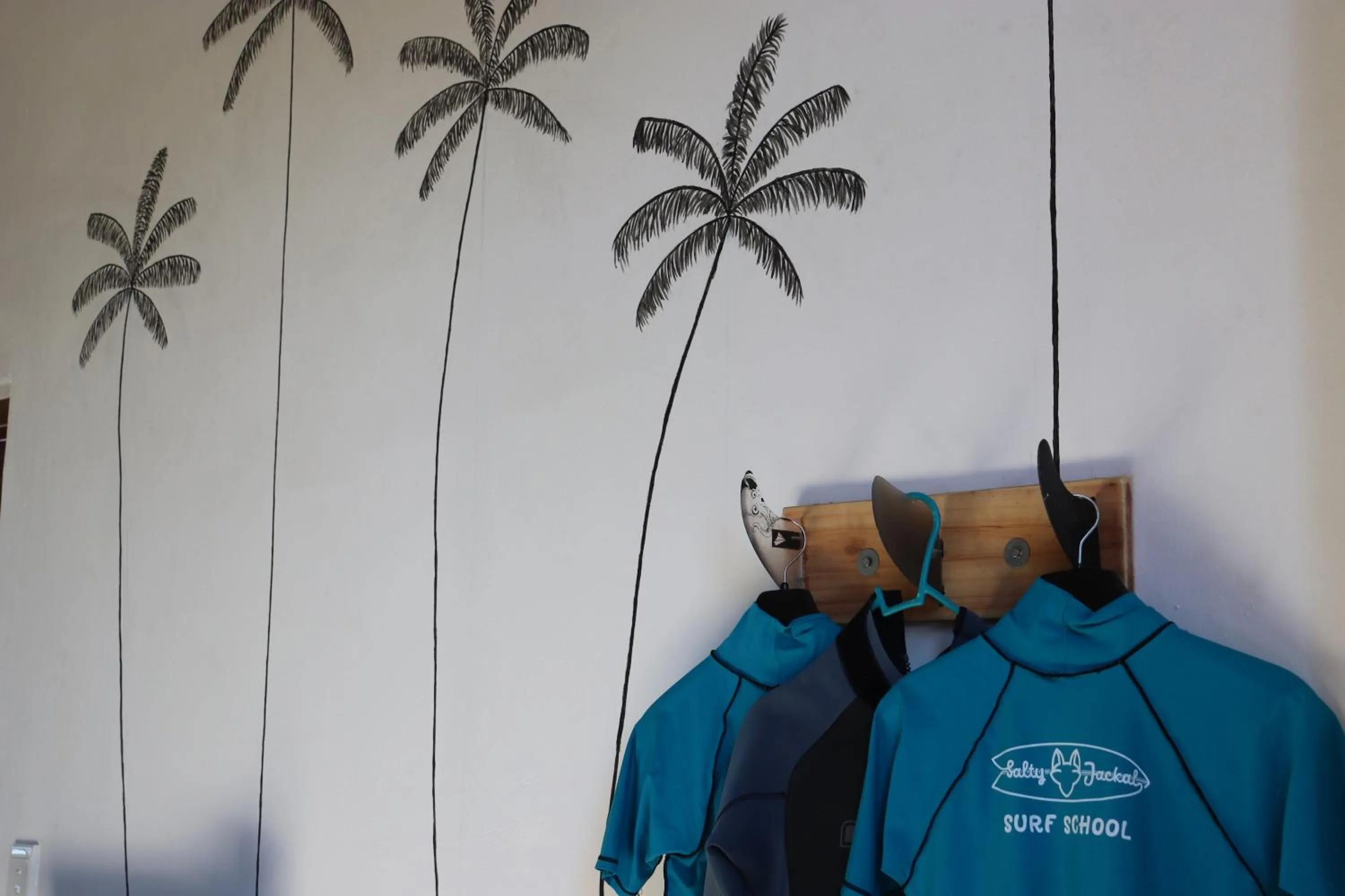 Property building in Salty Jackal Surf Camp