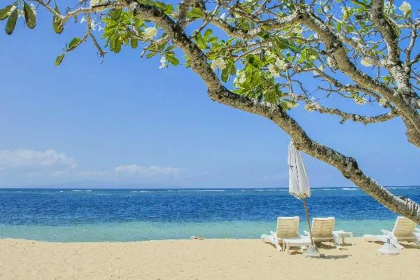 Property building in The Bali Bubble