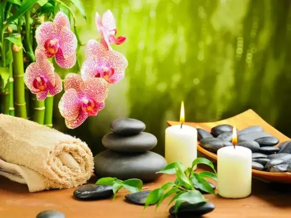 Property building in The Bali Bubble Property building in The Bali Bubble