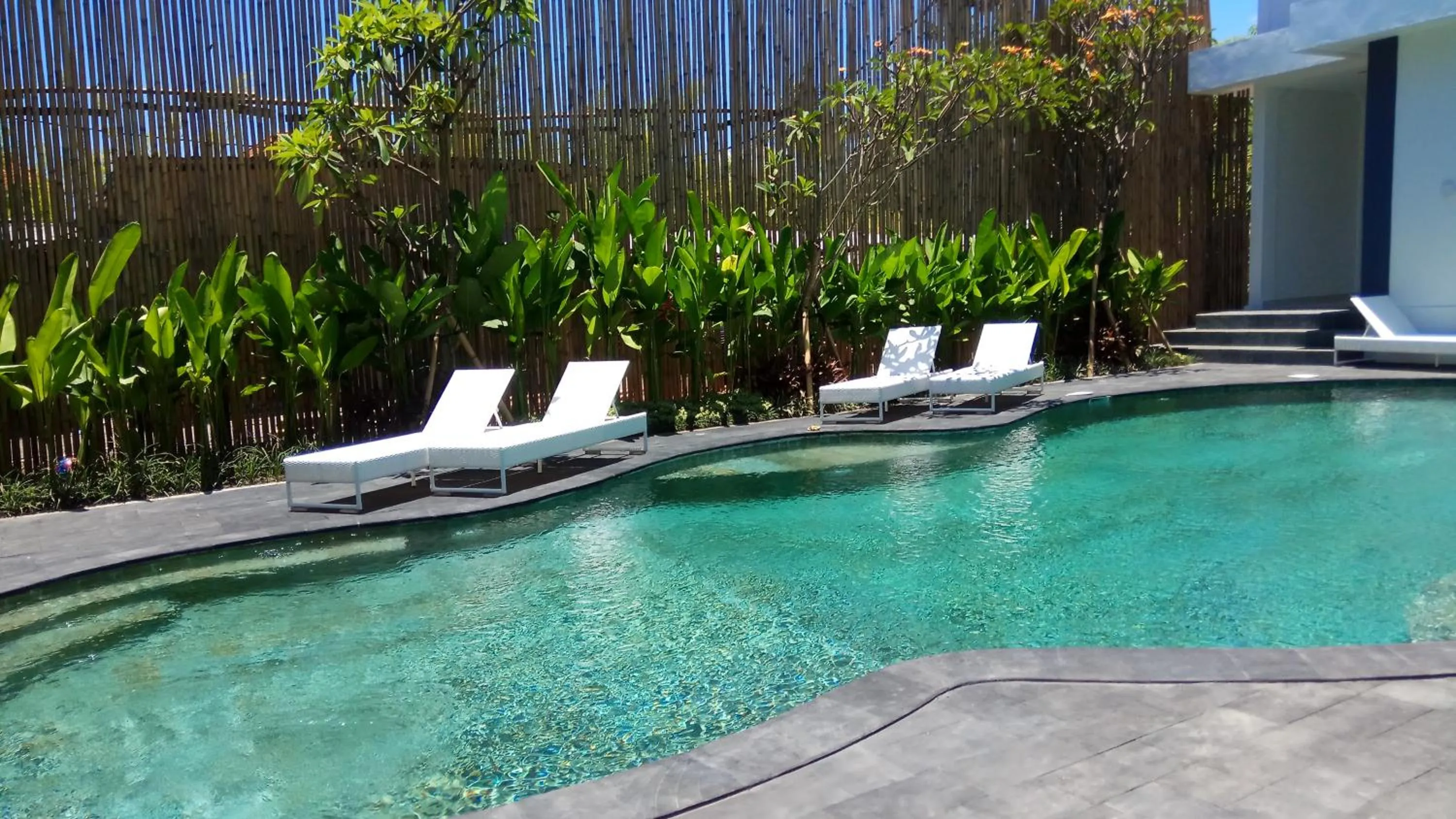 Swimming pool in The Bali Bubble