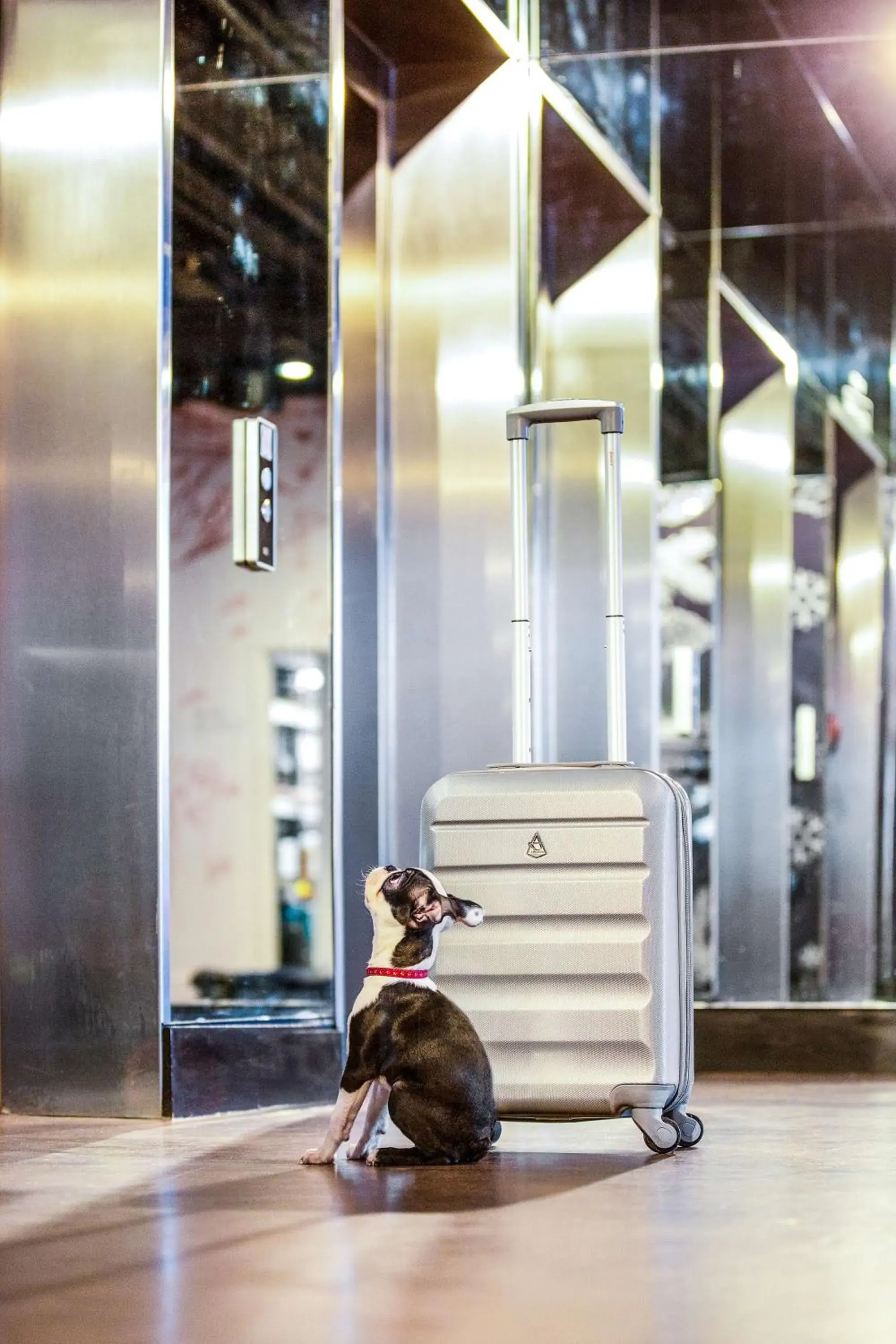 Lobby or reception in Radisson RED Hotel, Glasgow Lobby or reception in Radisson RED Hotel, Glasgow