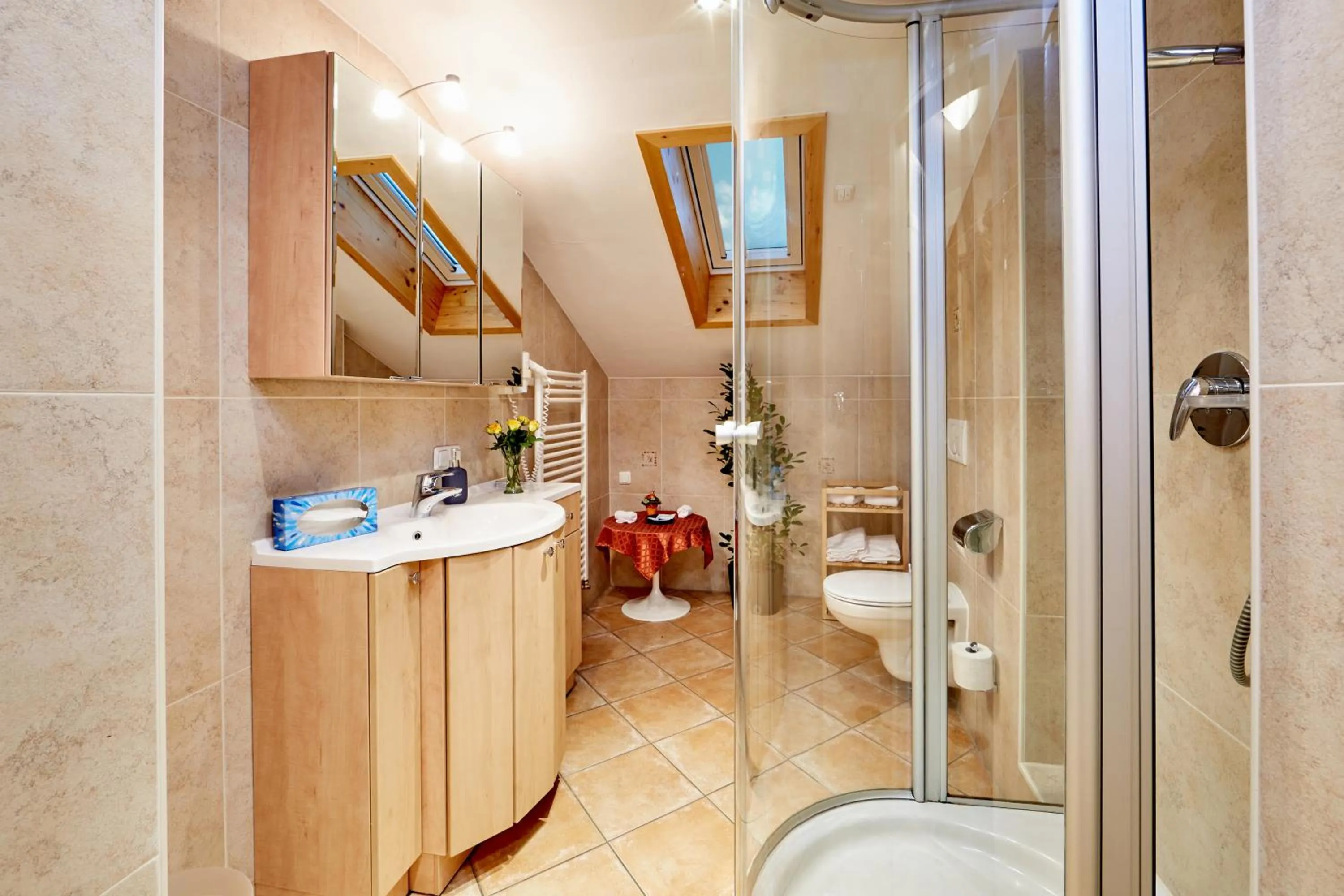 Bathroom in Hotel Franziska