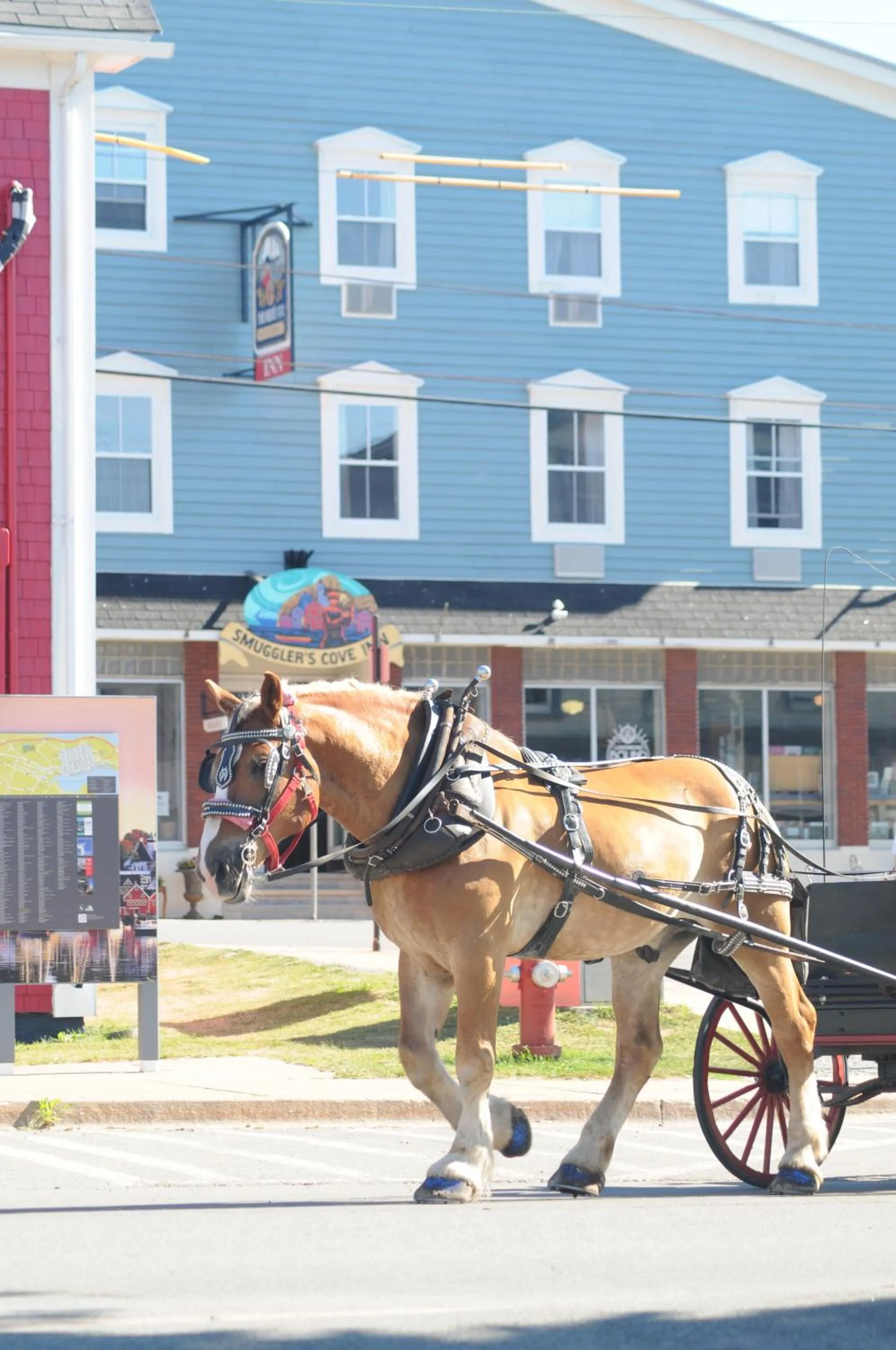 Day in Smugglers Cove Inn