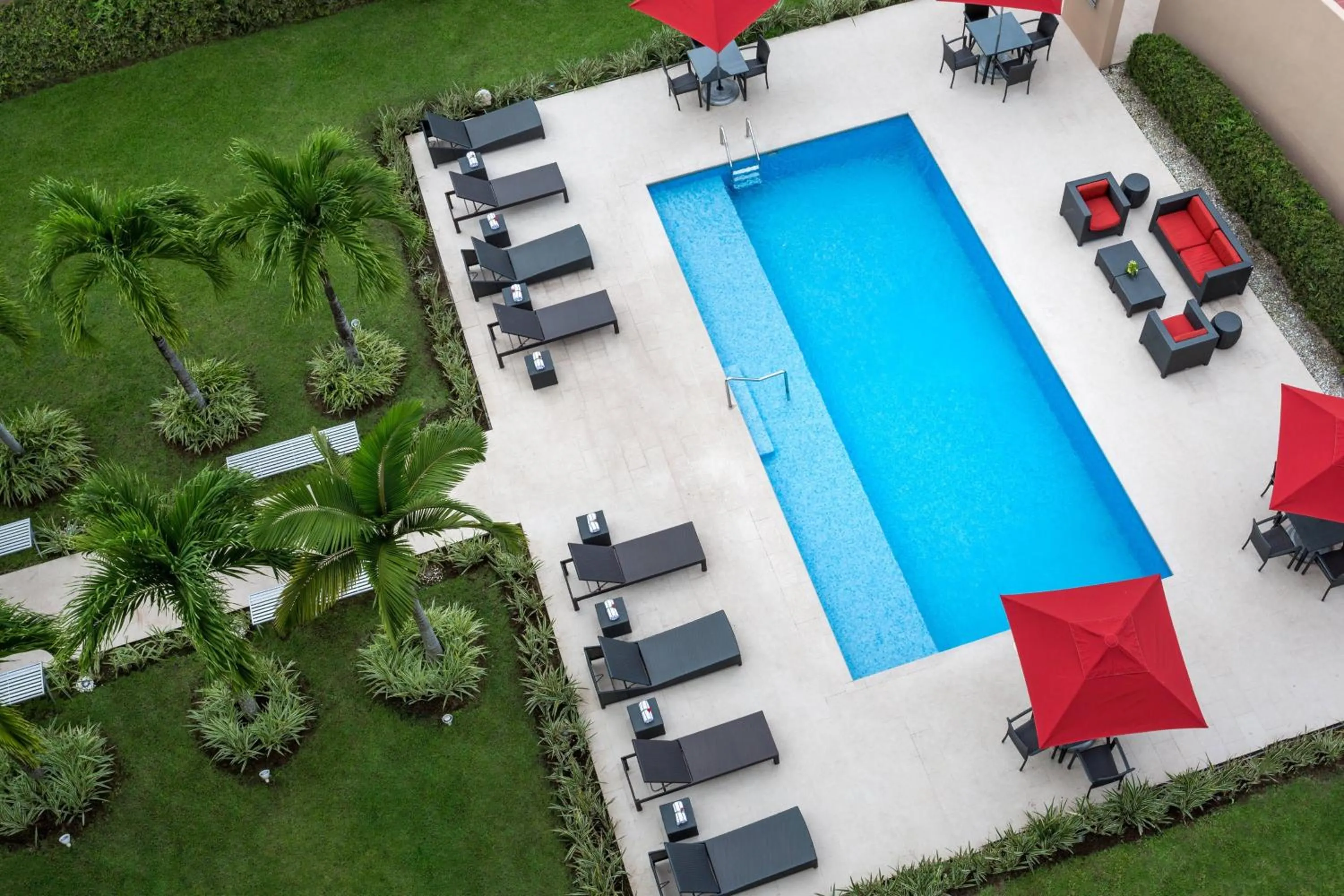 Swimming pool in Courtyard by Marriott Panama Metromall
