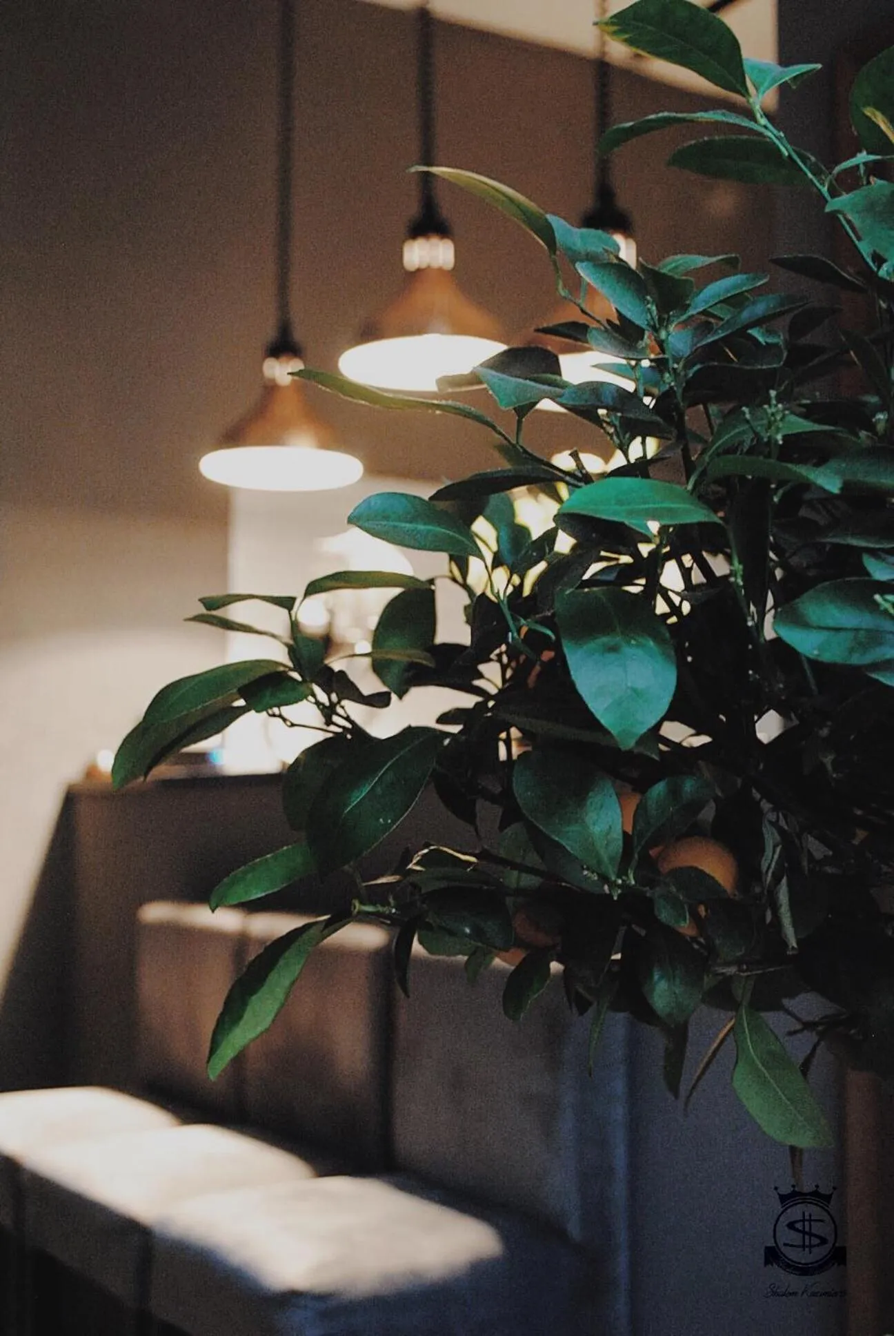 Buffet breakfast in Shalom Kazimierz